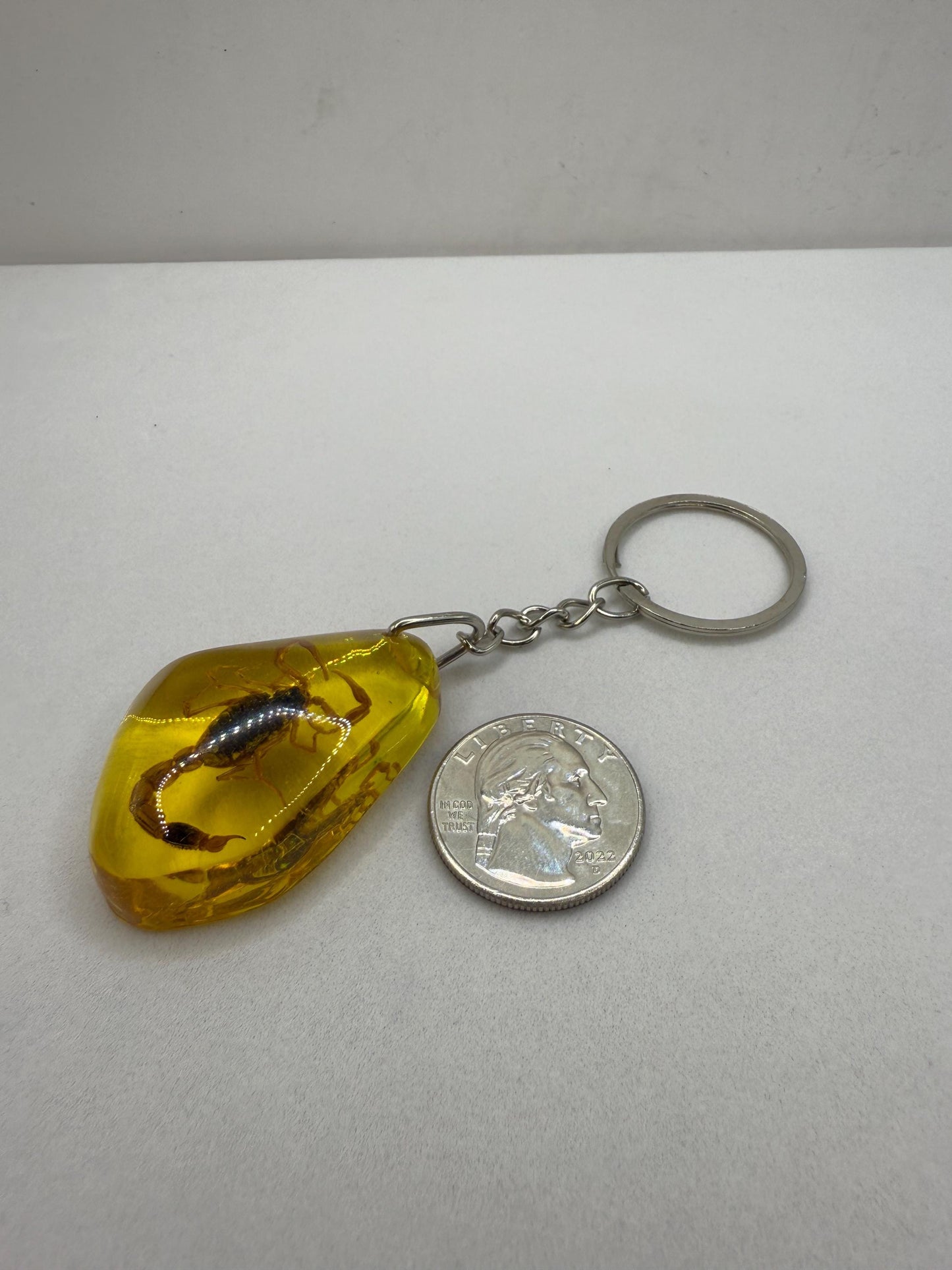 Scorpion Amber Keychain, Scorpion Keychain, Scorpion, Backpack Keychain, Unique Keychain, Scorpio, Arizona Gift, Arizona Scorpion