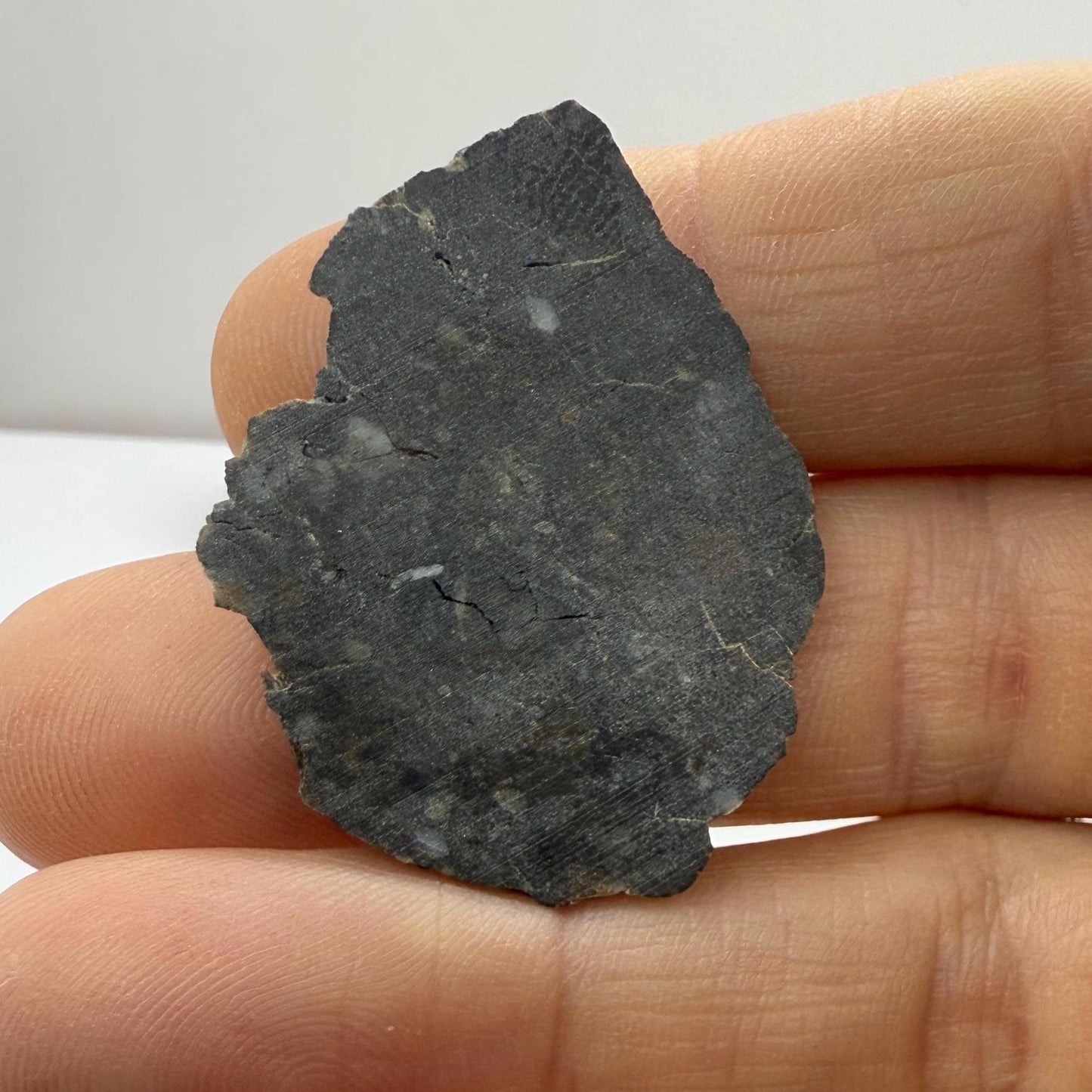NWA 11182 Moon/Lunar Slice, Moon Rock, Moon Meteorite, Lunar Feldspathic Breccia, Meteorite Collection, Space Gift, Astronomy Gift, 5.11g