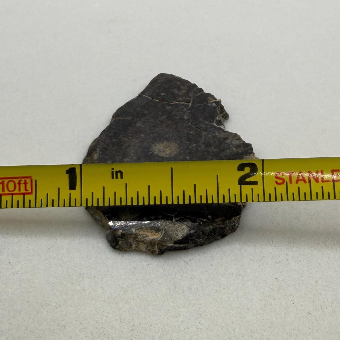NWA 11182 Moon/Lunar Slice, Moon Rock, Moon Meteorite, Lunar Feldspathic Breccia, Meteorite Collection, Space Gift, Astronomy Gift, 5.11g
