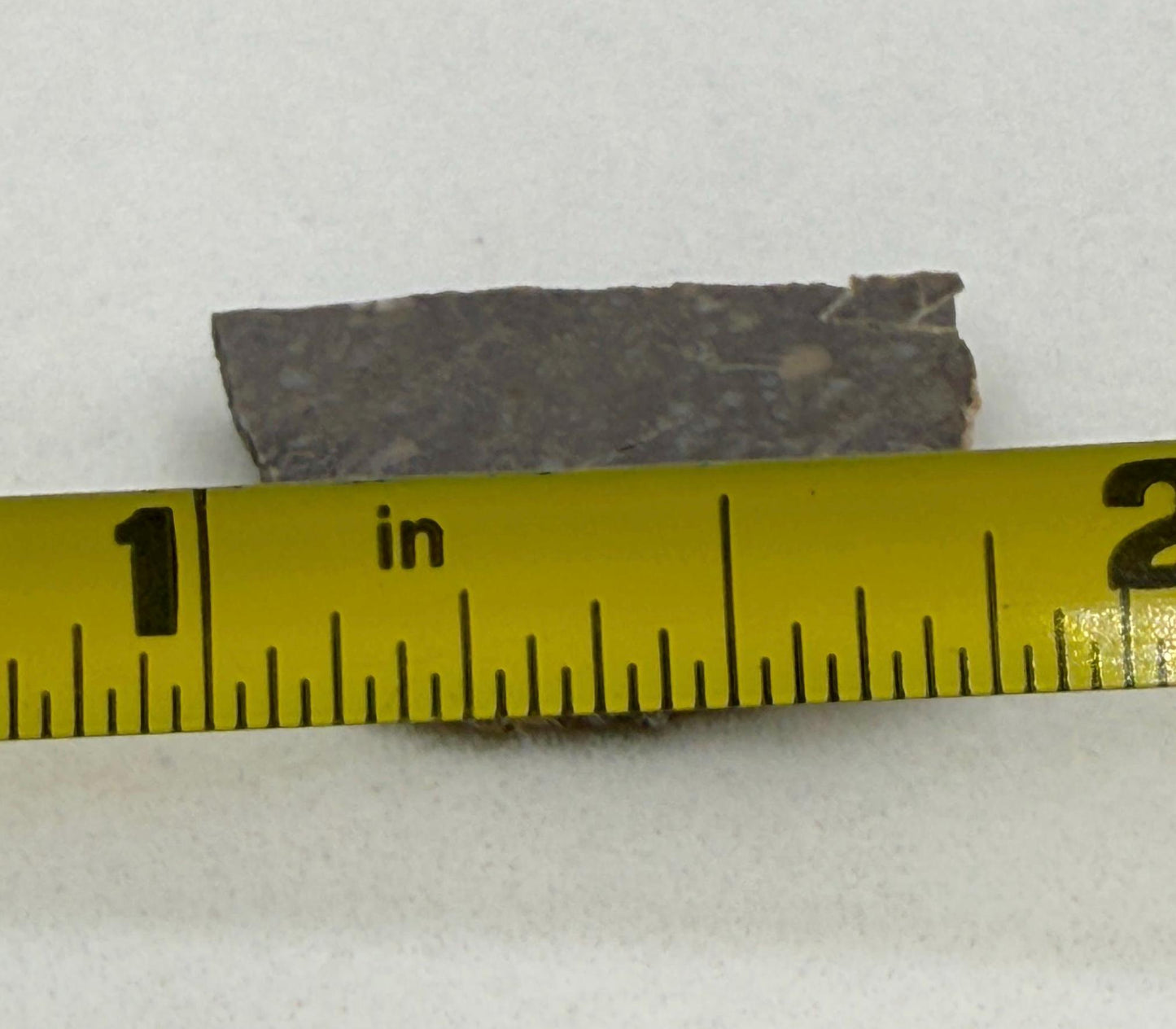 NWA 11182 Moon/Lunar Slice, Moon Rock, Moon Meteorite, Lunar Feldspathic Breccia, Meteorite Collection, Space Gift, Astronomy Gift, 1.55g