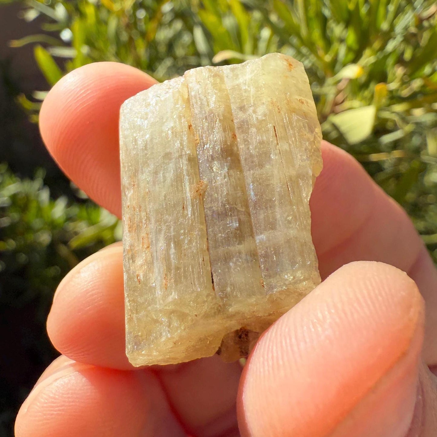 Beautiful Yellow Apatite, Imilchil Morocco, Apatite Crystal, Manifestation, Solar Plexus, Crystal Collection, 14.59 Grams/72.95 Carats