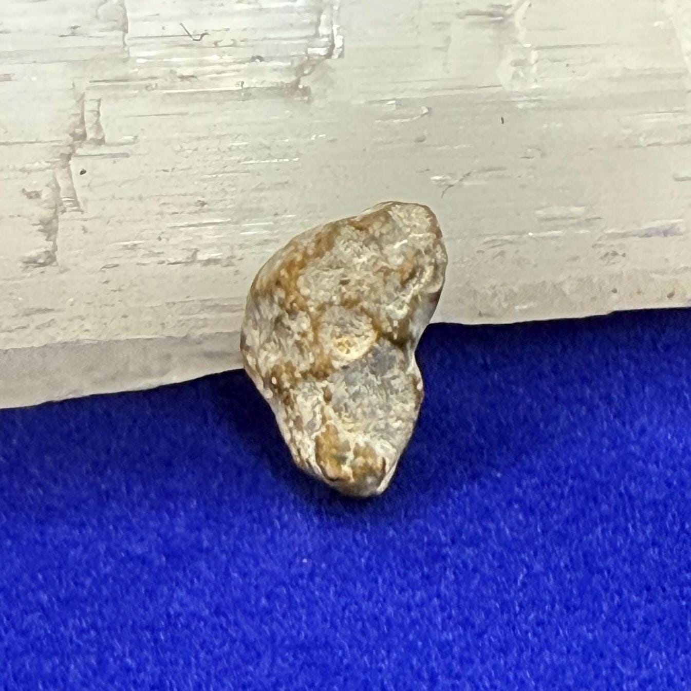 NWA 13974 Moon|Lunar Meteorite, Feldspathic Breccia, Moon Meteorite, Meteorite Collection, Lunar Feldspathic Breccia, 0.69 grams