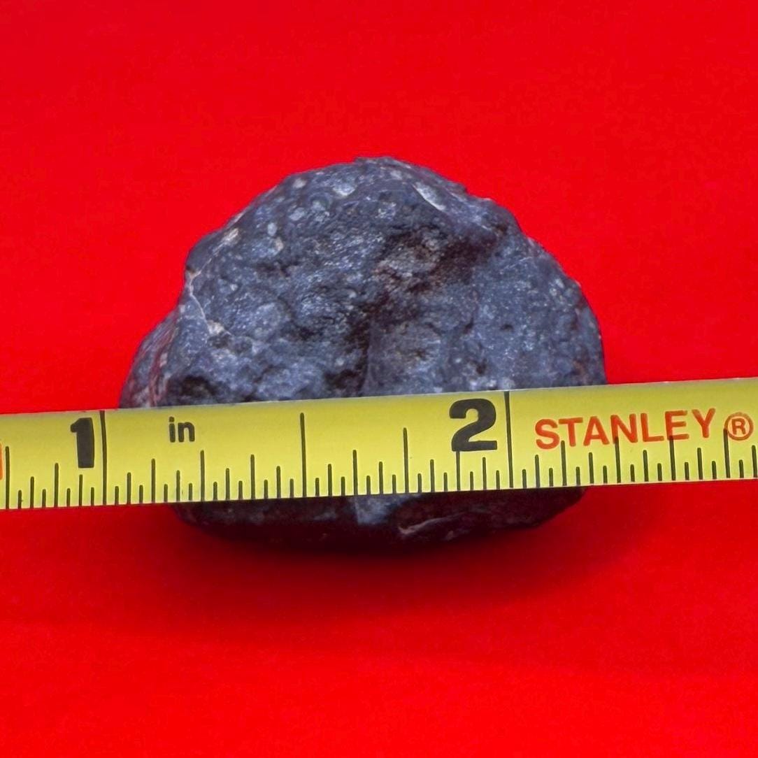 Meteorite NWA 869 Chondrite Stony Meteorite, 27.65 grams, Authentic Meteorite, Meteorite Collection, COA, Astronomy Gift, Space Gift