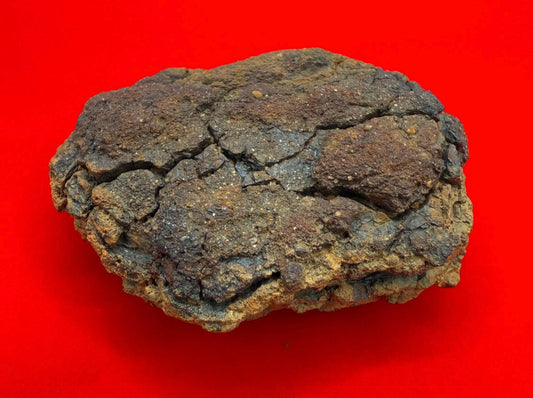 Wolf Creek Meteorite Specimen, Australia, 115.85 grams, Rare Meteorite, Iron Meteorite, Astronomy Gift, Space Gift, Australian Meteorite