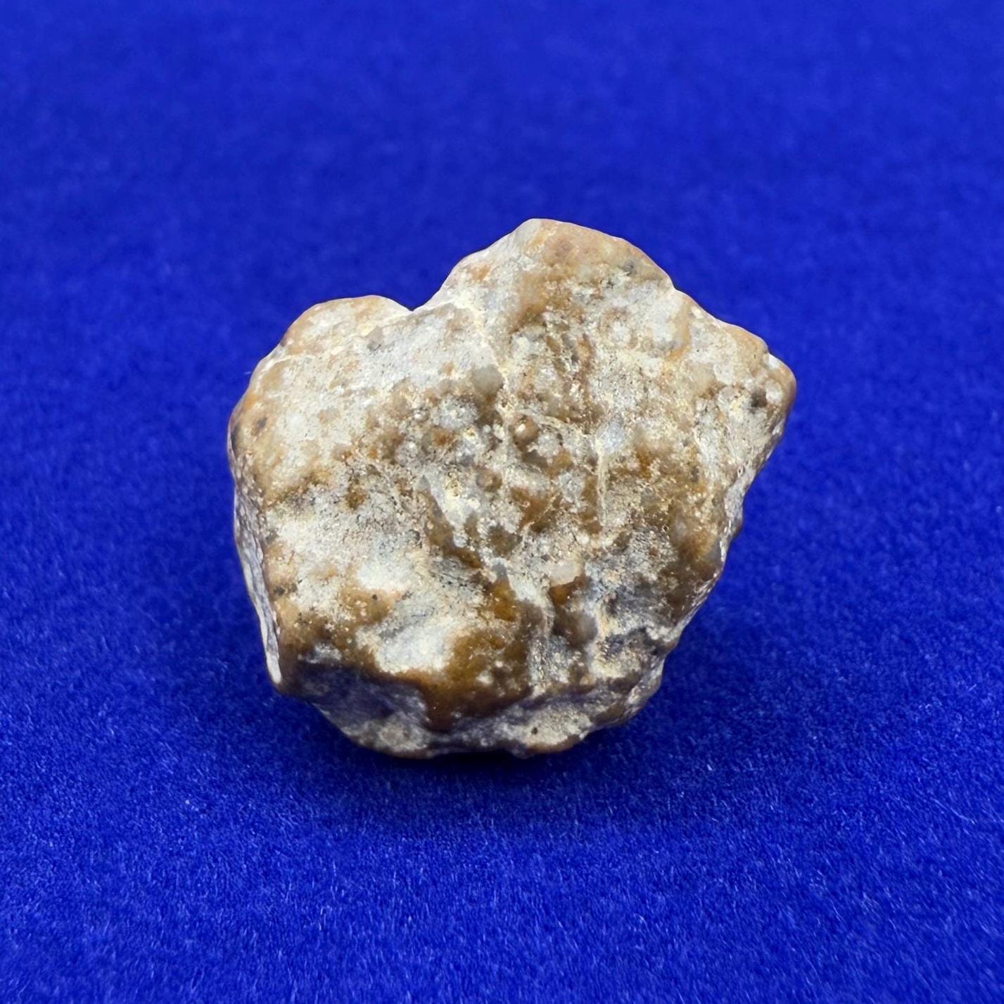 NWA 13974 Moon|Lunar Meteorite, Feldspathic Breccia, Moon Meteorite, Meteorite Collection, Lunar Feldspathic Breccia, 3.29 grams
