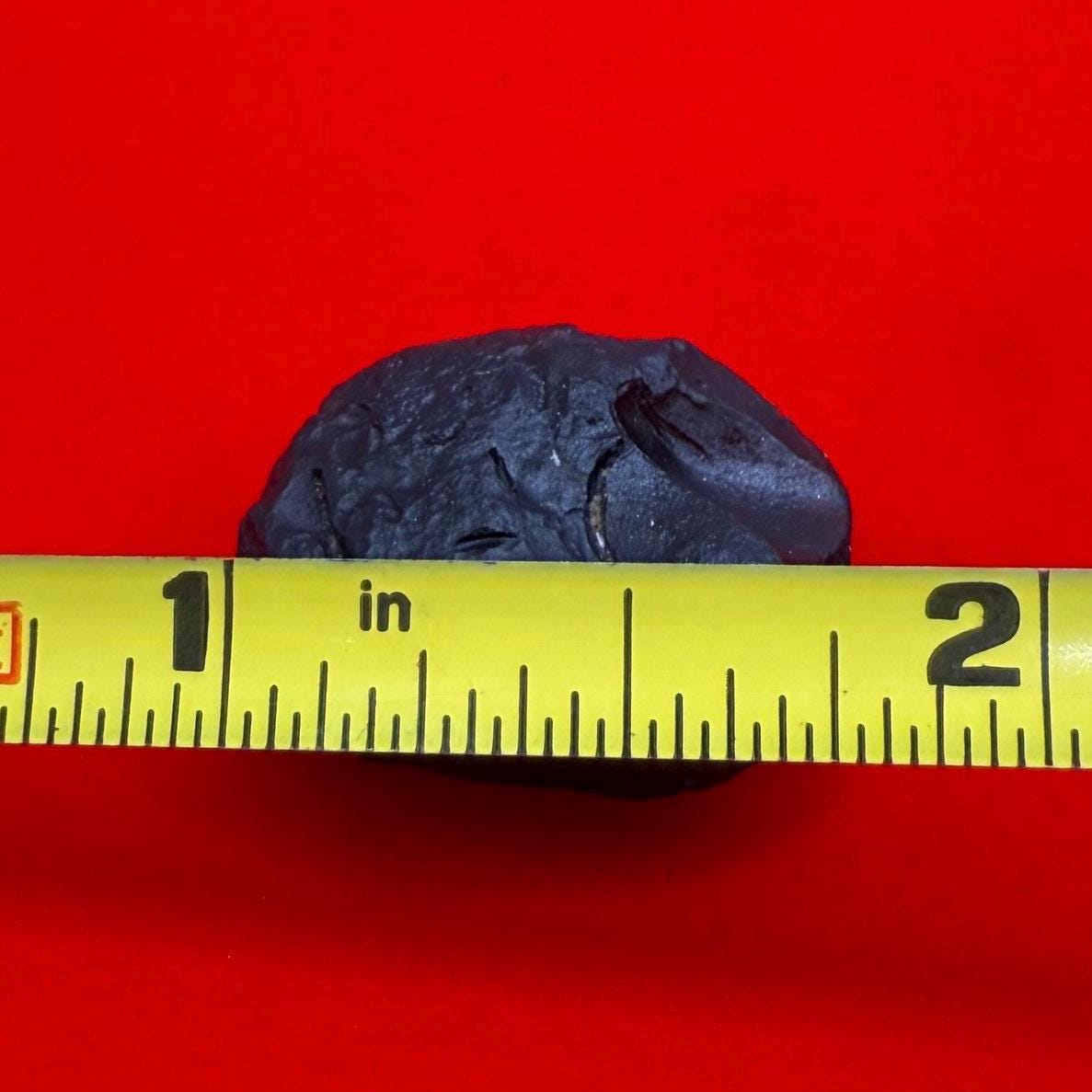 Saffordite Specimen, Cintamani, Rare and Beautiful, Shamanic, Arizona, Pseudotektite, Obsidian, Metaphysical, 5.32 grams