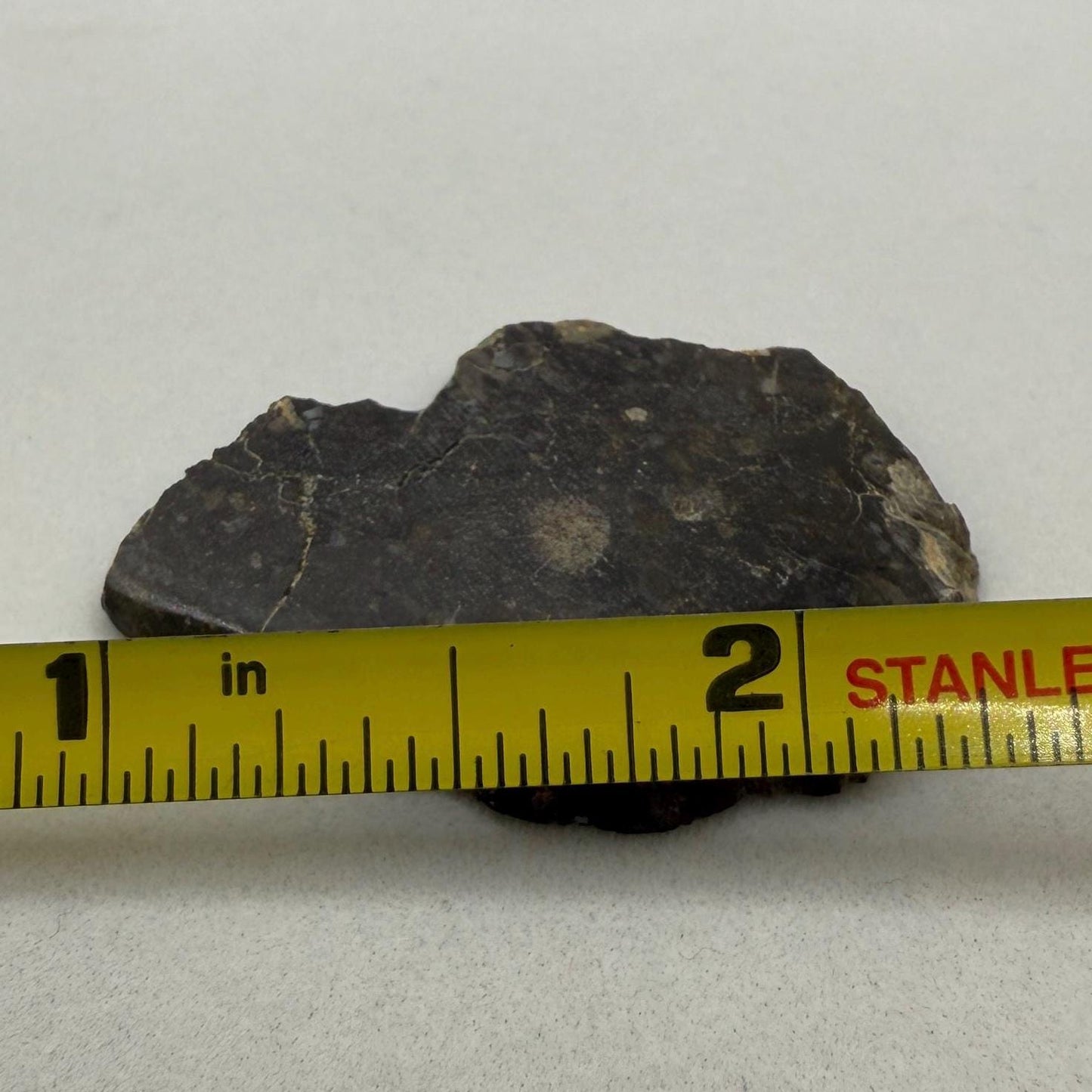NWA 11182 Moon/Lunar Slice, Moon Rock, Moon Meteorite, Lunar Feldspathic Breccia, Meteorite Collection, Space Gift, Astronomy Gift, 5.11g