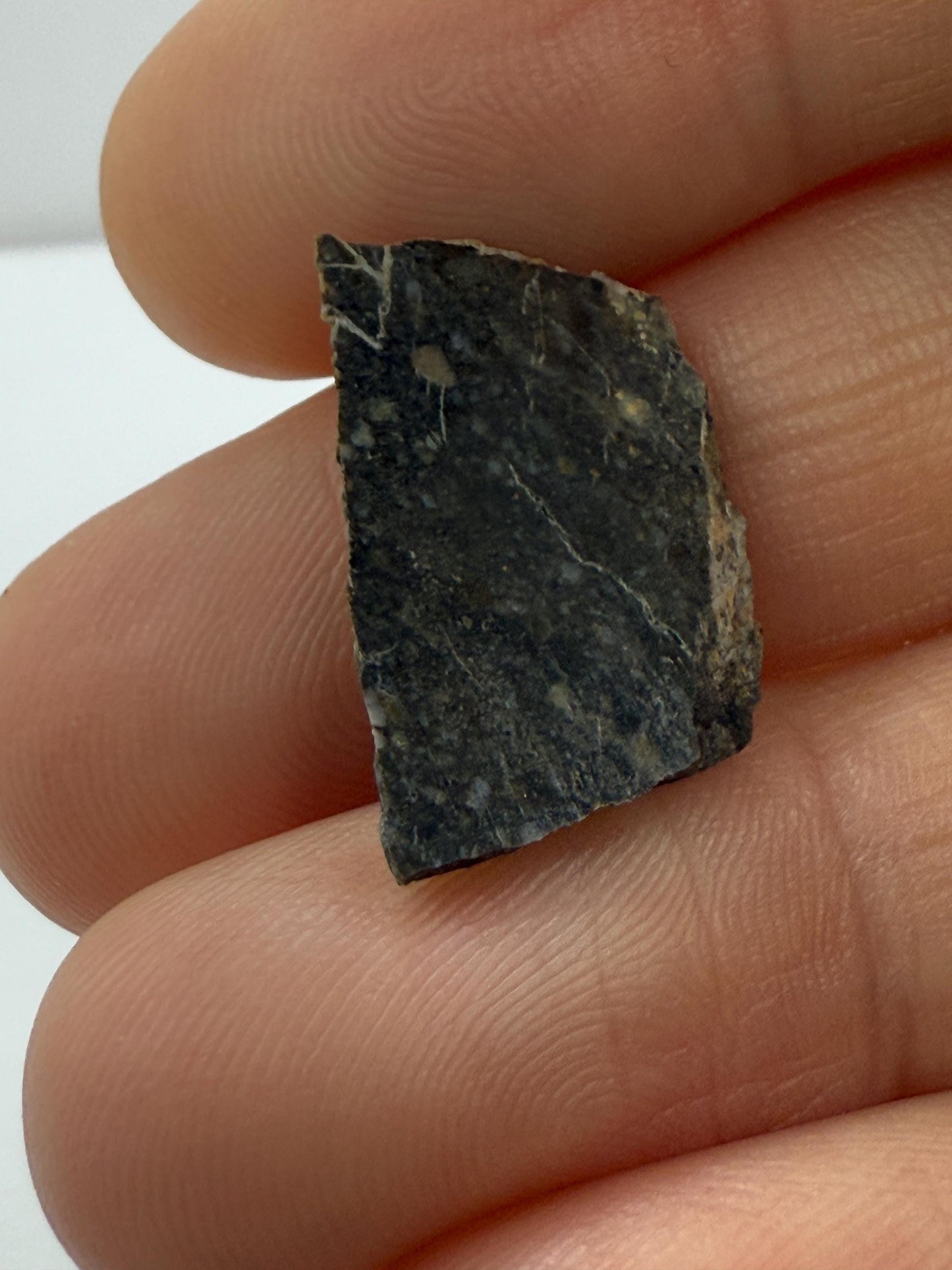 NWA 11182 Moon/Lunar Slice, Moon Rock, Moon Meteorite, Lunar Feldspathic Breccia, Meteorite Collection, Space Gift, Astronomy Gift, 1.55g