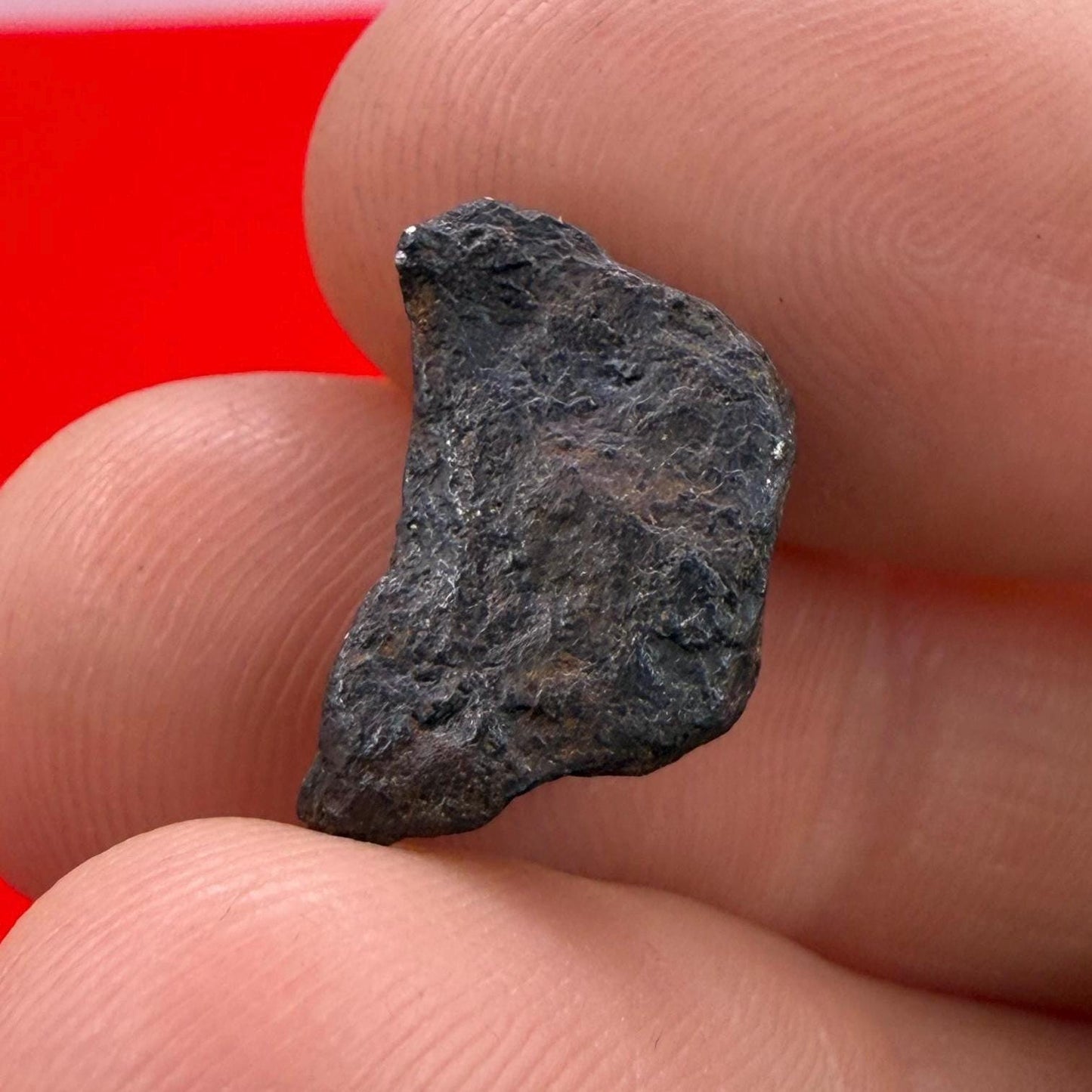 Canyon Diablo Meteorite Specimen, Arizona, 3.52 grams, Rare Meteorite, Iron Meteorite, Astronomy Gift, Space Gift, Energy Work, Meteorite