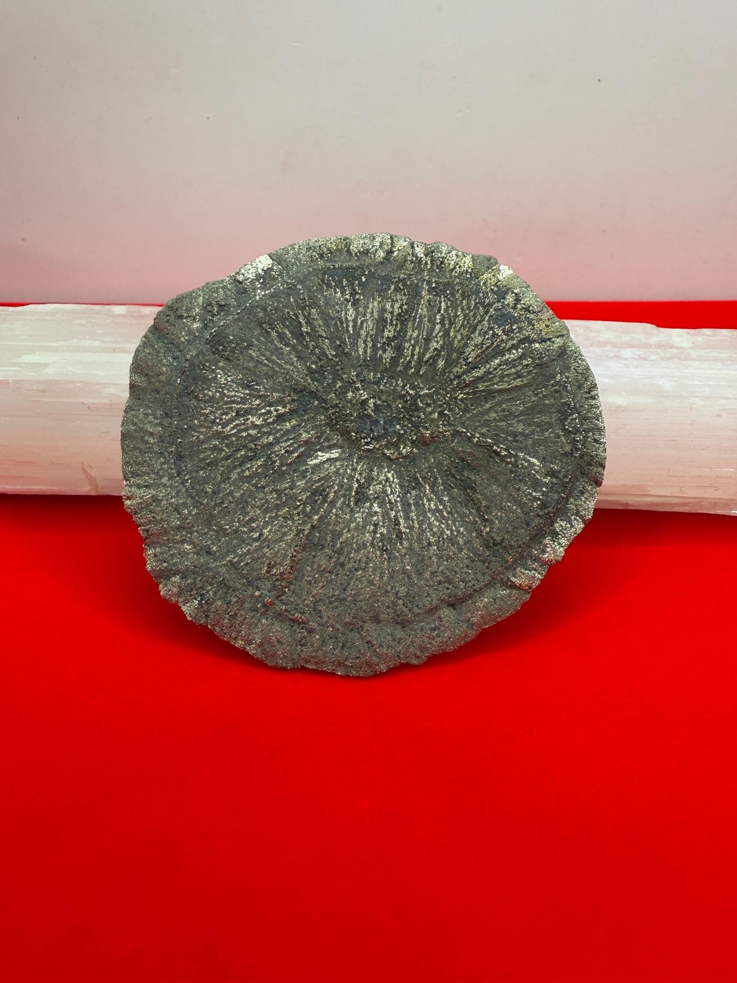 Sparkling Pyrite Sun, Pyrite Dollar, Pyrite, Rock Collection, Sparta Illinois, Radiant Sun, Abundance, Creativity, Energy Work, 75.90 Grams