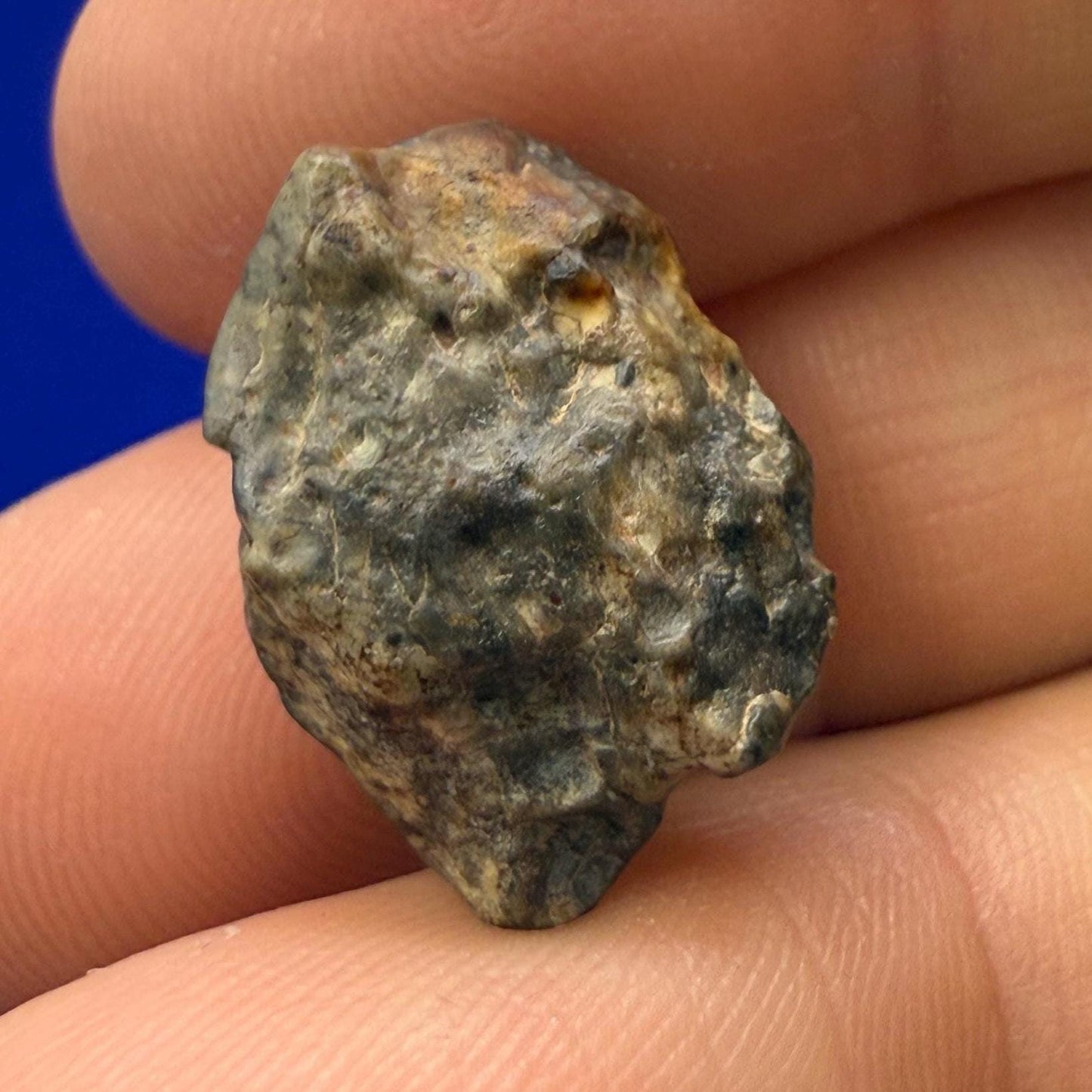 Tisserlitine Moon|Lunar Meteorite, Moon Meteorite, Meteorite Collection, Lunar Feldspathic Breccia, Space Gift, Astronomy, 3.39 grams