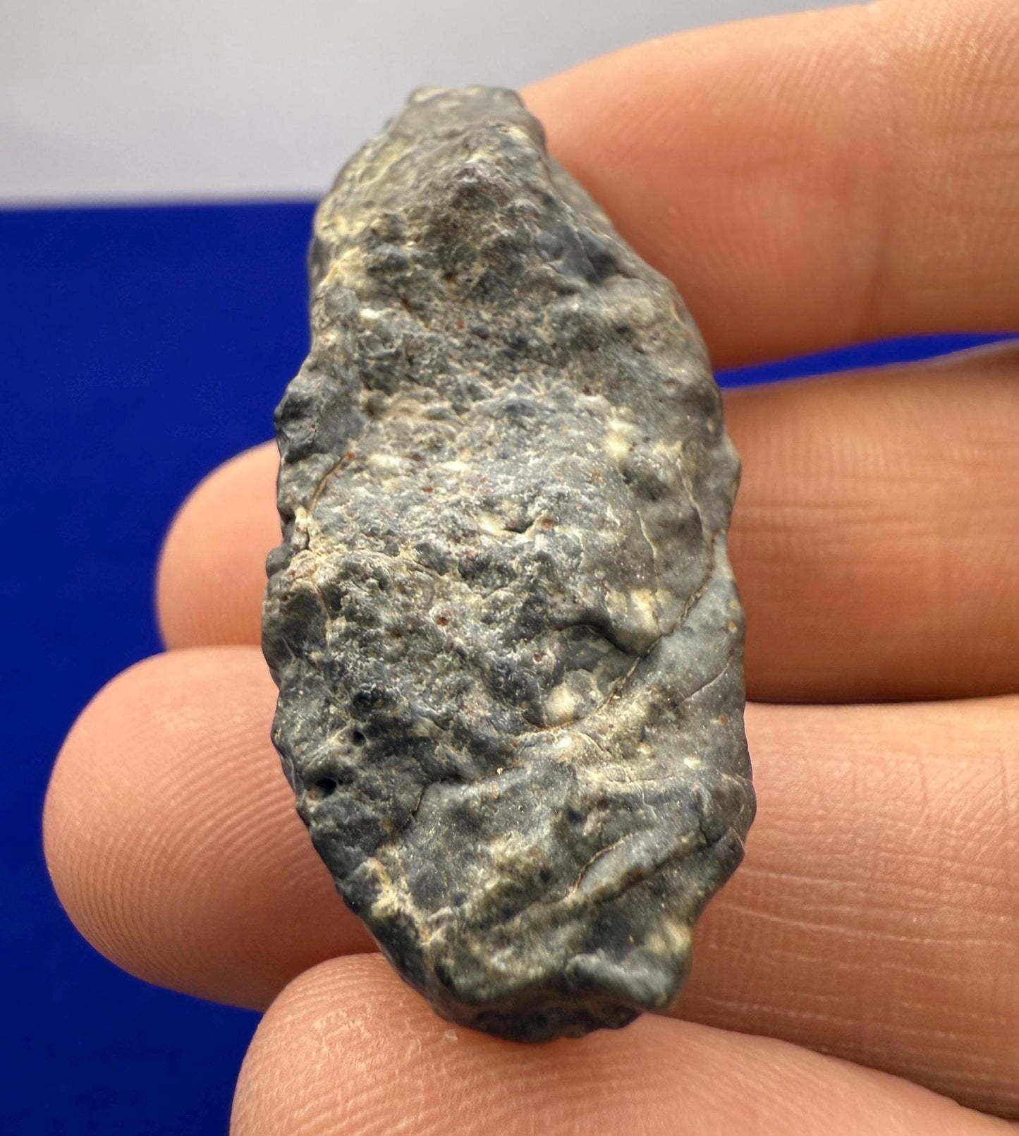 Tisserlitine Moon|Lunar Meteorite, Moon Meteorite, Meteorite Collection, Lunar Feldspathic Breccia, Space Gift, Astronomy, 13.34 grams