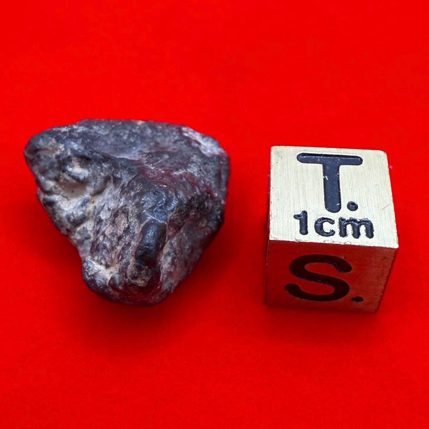 Meteorite NWA 869 Chondrite Stony Meteorite, 5.46 grams, Authentic Meteorite, Authentic Meteorite, COA, Astronomy Gift, Space Gift