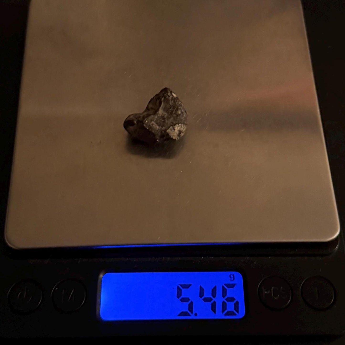 Meteorite NWA 869 Chondrite Stony Meteorite, 5.46 grams, Authentic Meteorite, Authentic Meteorite, COA, Astronomy Gift, Space Gift