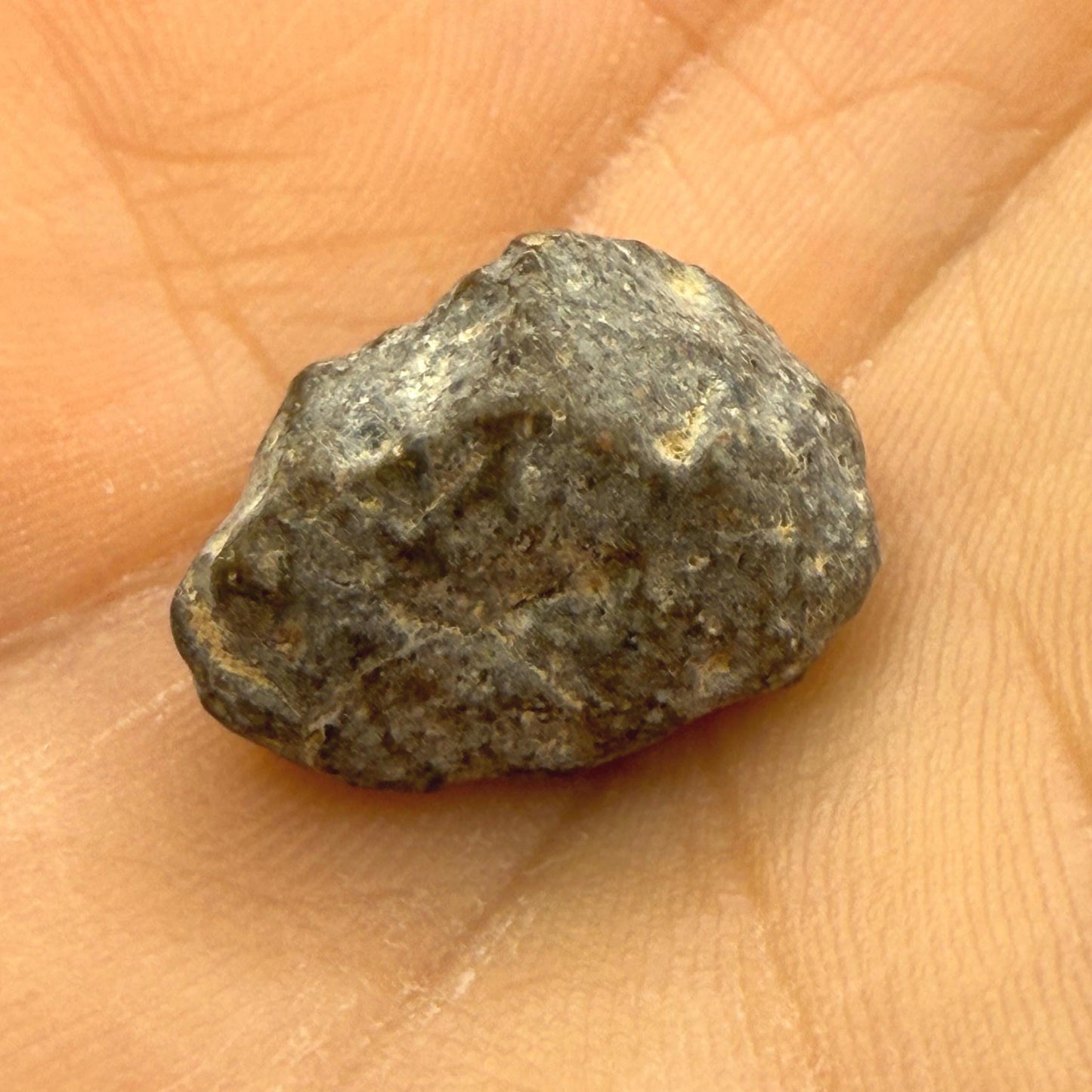 Lunar Meteorite Pendant: NWA 13974 Feldspathic Breccia, Moon Rock, Stainless Steel, 1.94 grams