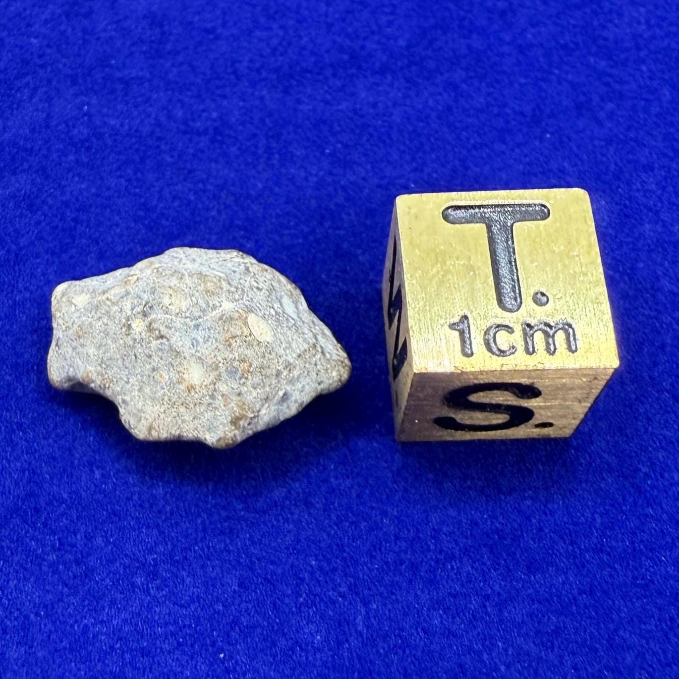 Moon|Lunar Meteorite Pendant, NWA 13974, Feldspathic Breccia, Moon Meteorite, Meteorite Collection, Lunar Feldspathic Breccia, 1.45 grams