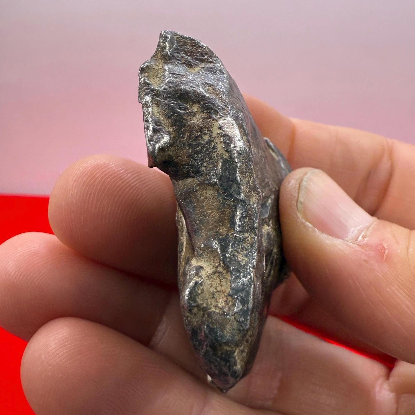 Unique Iron Meteorite Specimen Gebel Kamil, 111.56 grams, Astronomy Gift, Space Gift, Iron Meteorite, Egypt, Meteorite Collection, Space