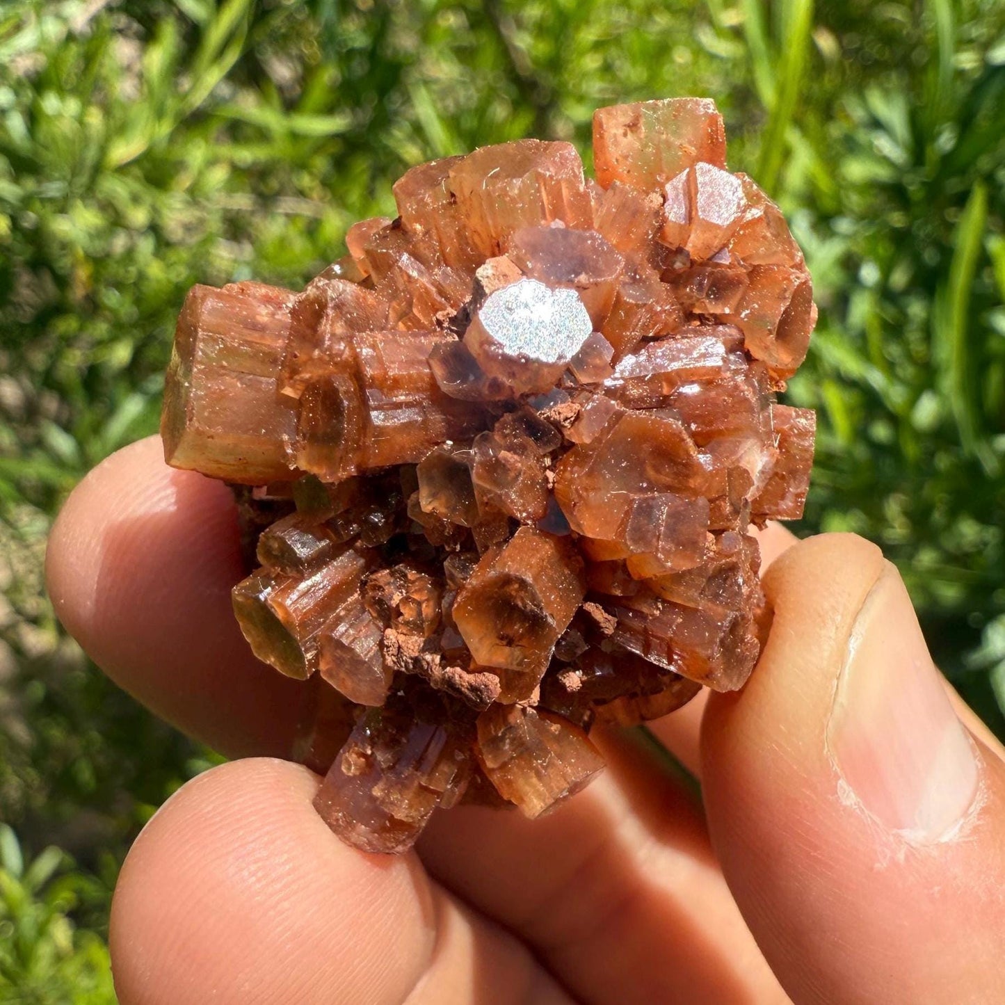 Beautiful “Top Grade” Aragonite Crystal, Aragonite, Aragonite Star Cluster, Confidence, Emotional Healing, Crystal, 35.23 grams