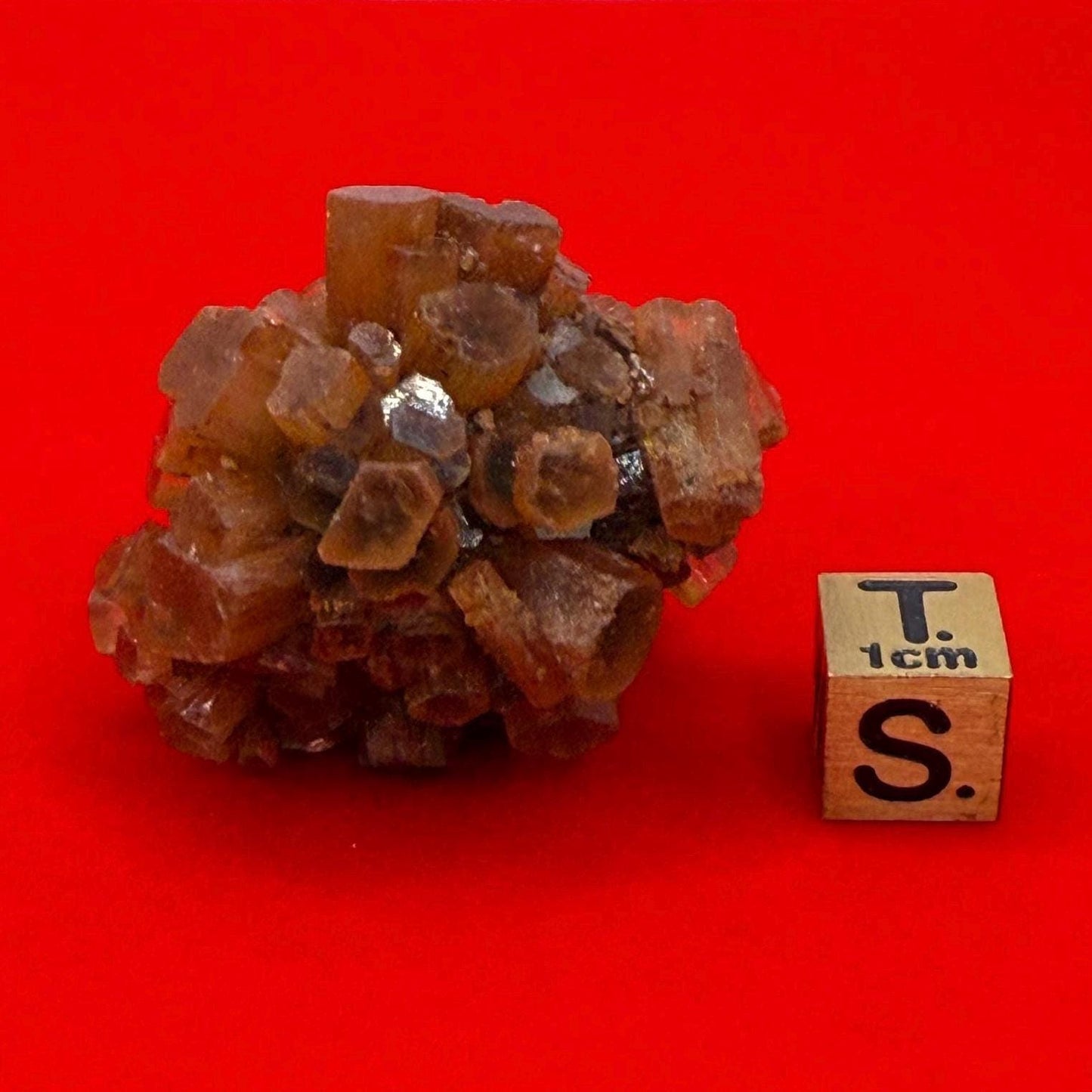 Beautiful “Top Grade” Aragonite Crystal, Aragonite, Aragonite Star Cluster, Confidence, Emotional Healing, Crystal, 35.23 grams