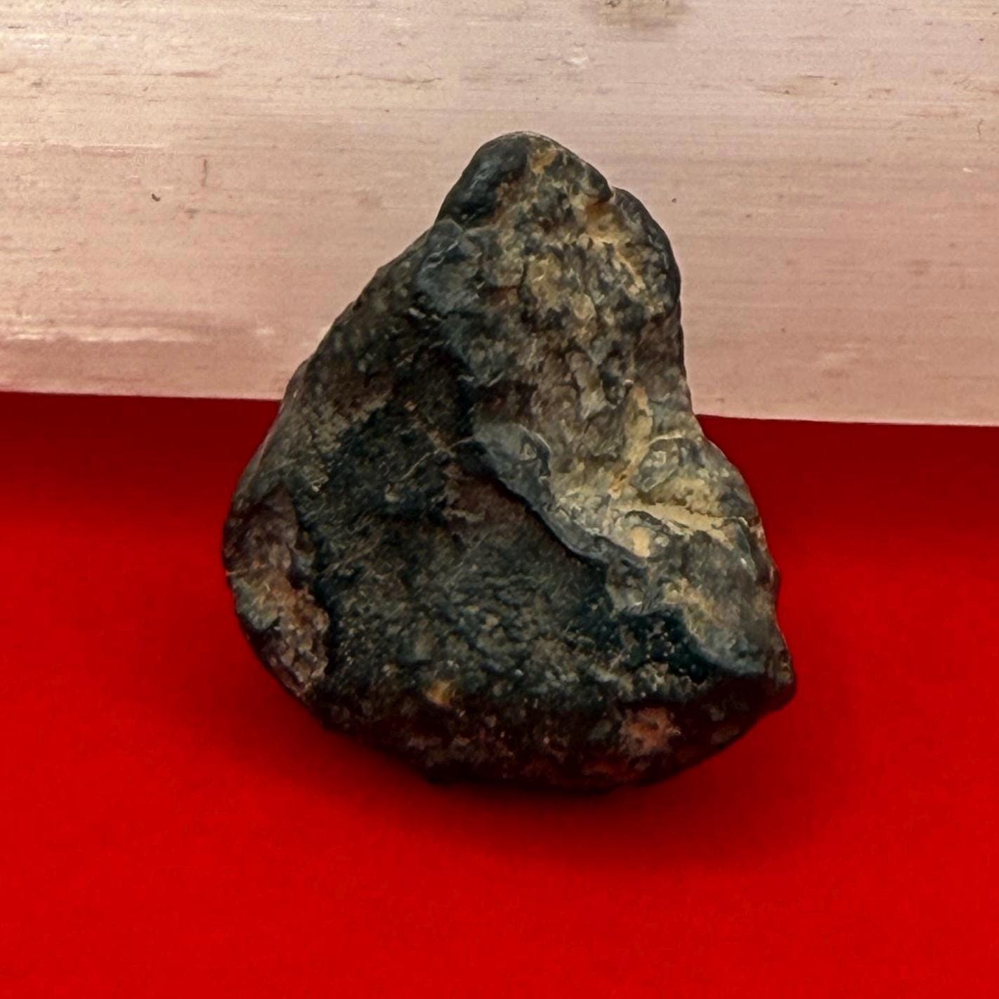 Meteorite NWA 869 Chondrite Stony Meteorite, 5.46 grams, Authentic Meteorite, Authentic Meteorite, COA, Astronomy Gift, Space Gift