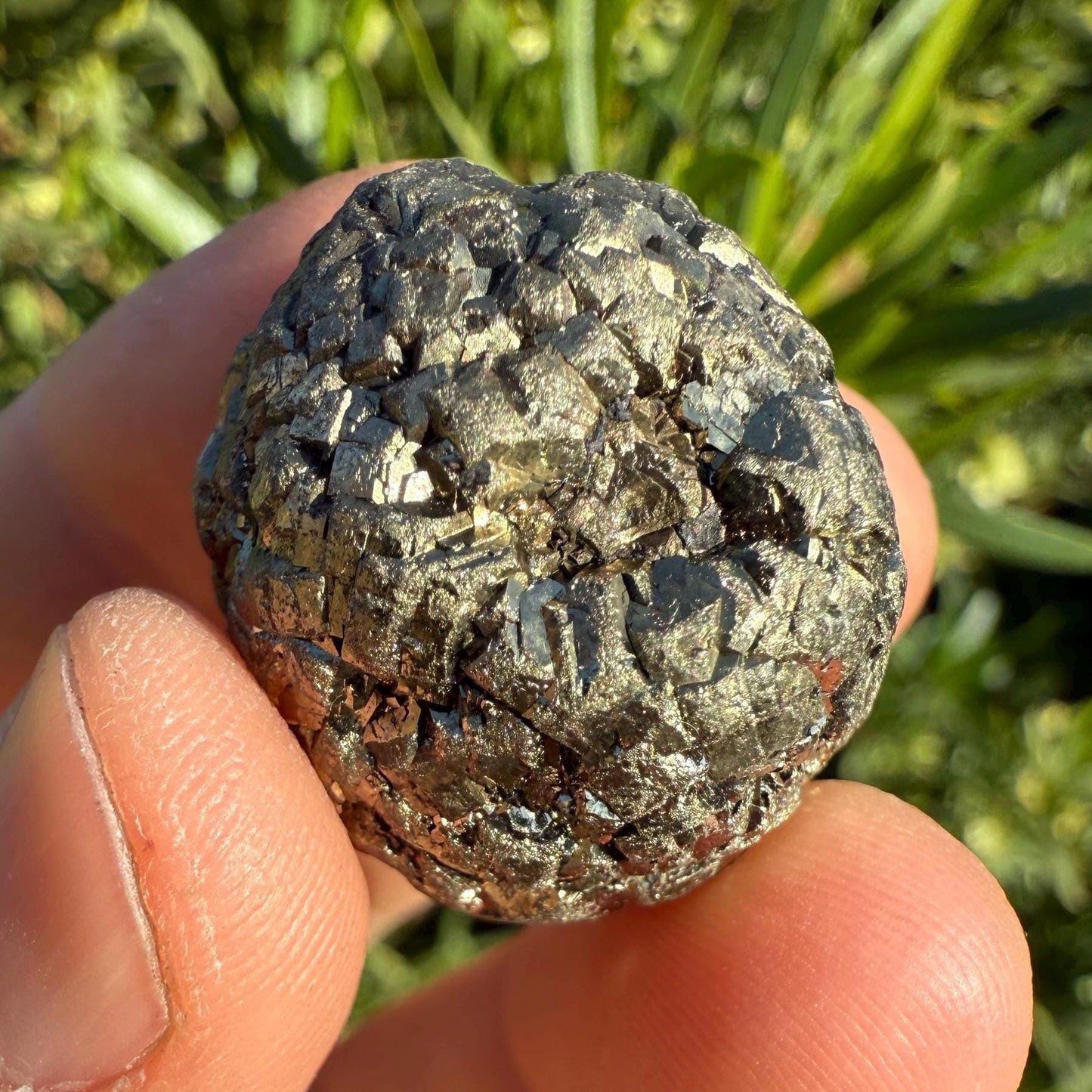 Golden Prophecy Stone, Rare and Unique, Marcasite Nodule, Crystal of Protection, Pyrite, Reiki, Rock Collection, Transformation, 39.02 grams