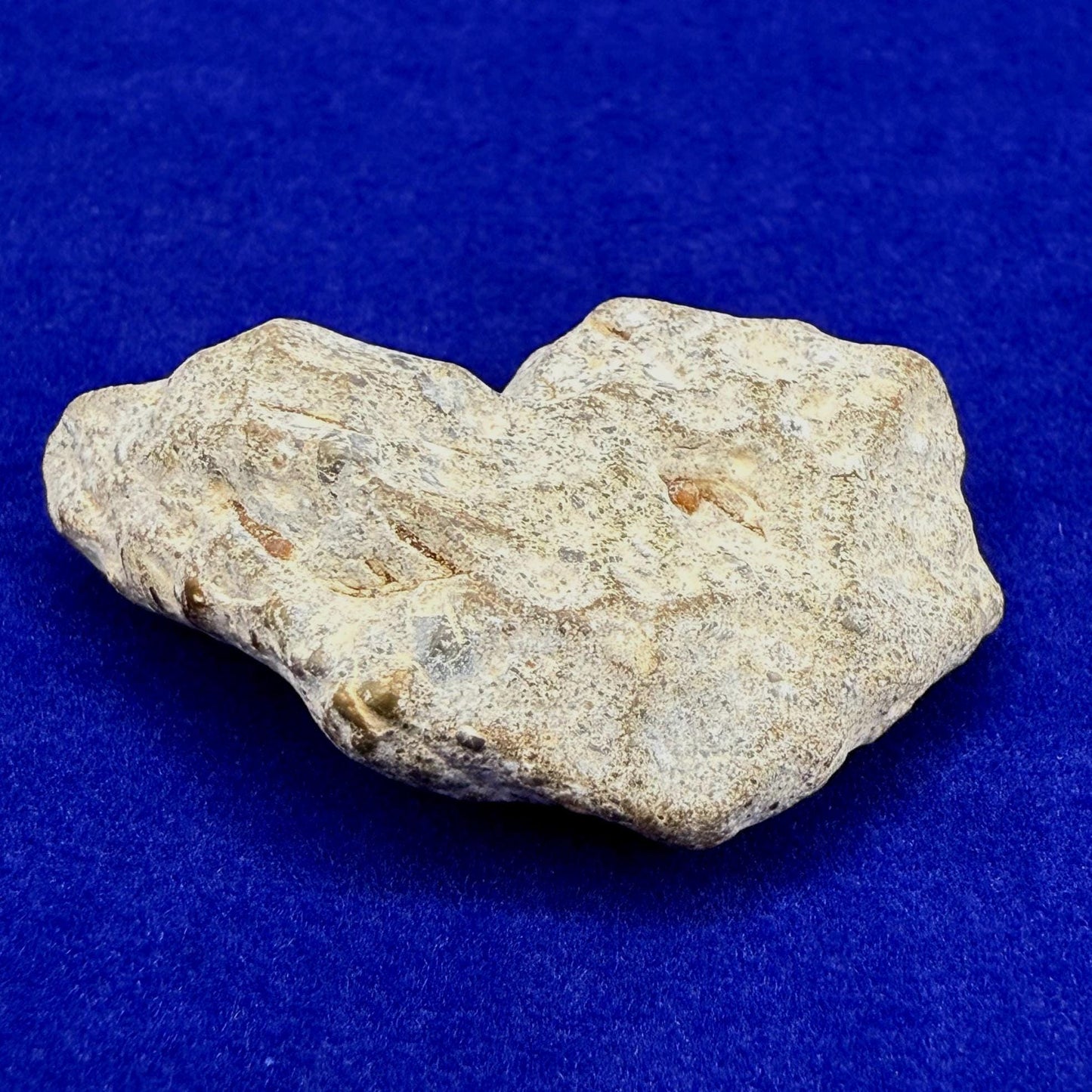 NWA 13974 Moon|Lunar Meteorite, Feldspathic Breccia, Moon Meteorite, Meteorite Collection, Lunar Feldspathic Breccia, 7.75 grams