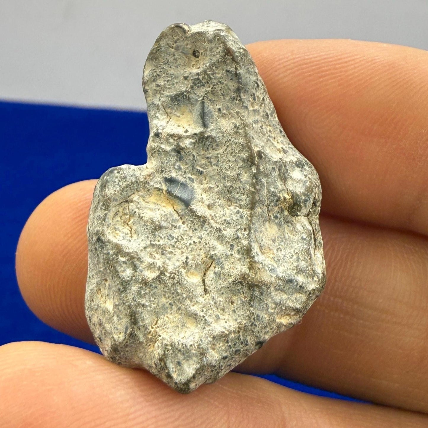 NWA 13974 Moon|Lunar Meteorite, Feldspathic Breccia, Moon Meteorite, Meteorite Collection, Lunar Feldspathic Breccia, 7.75 grams