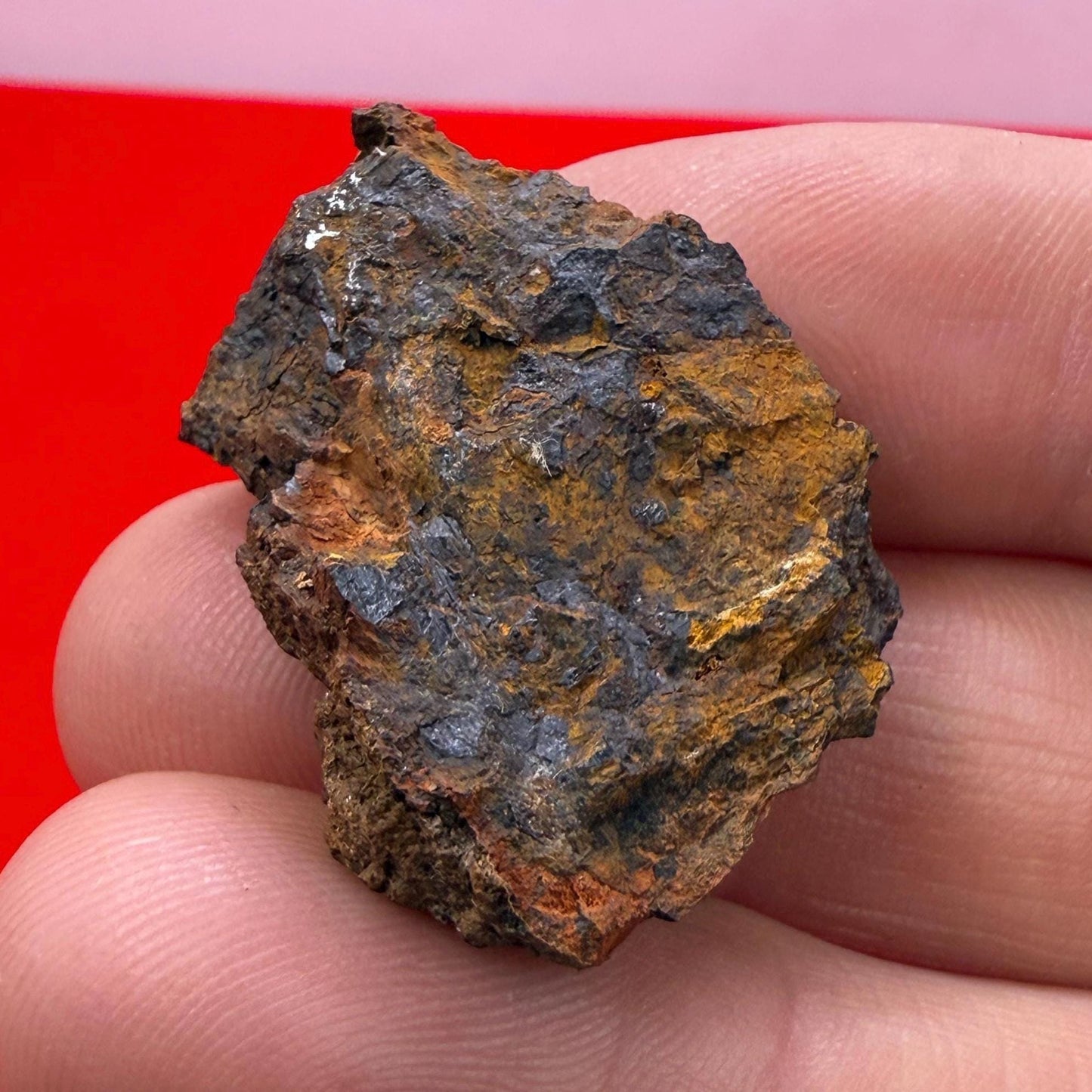 Wolf Creek Meteorite Specimen, Australia, 9.91 grams, Rare Meteorite, Iron Meteorite, Astronomy Gift, Space Gift, Australian Meteorite