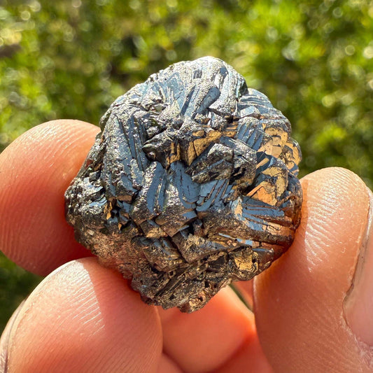 Golden Prophecy Stone, Rare and Unique, Marcasite Nodule, Crystal of Protection, Pyrite, Reiki, Rock Collection, Transformation, 11.48 grams