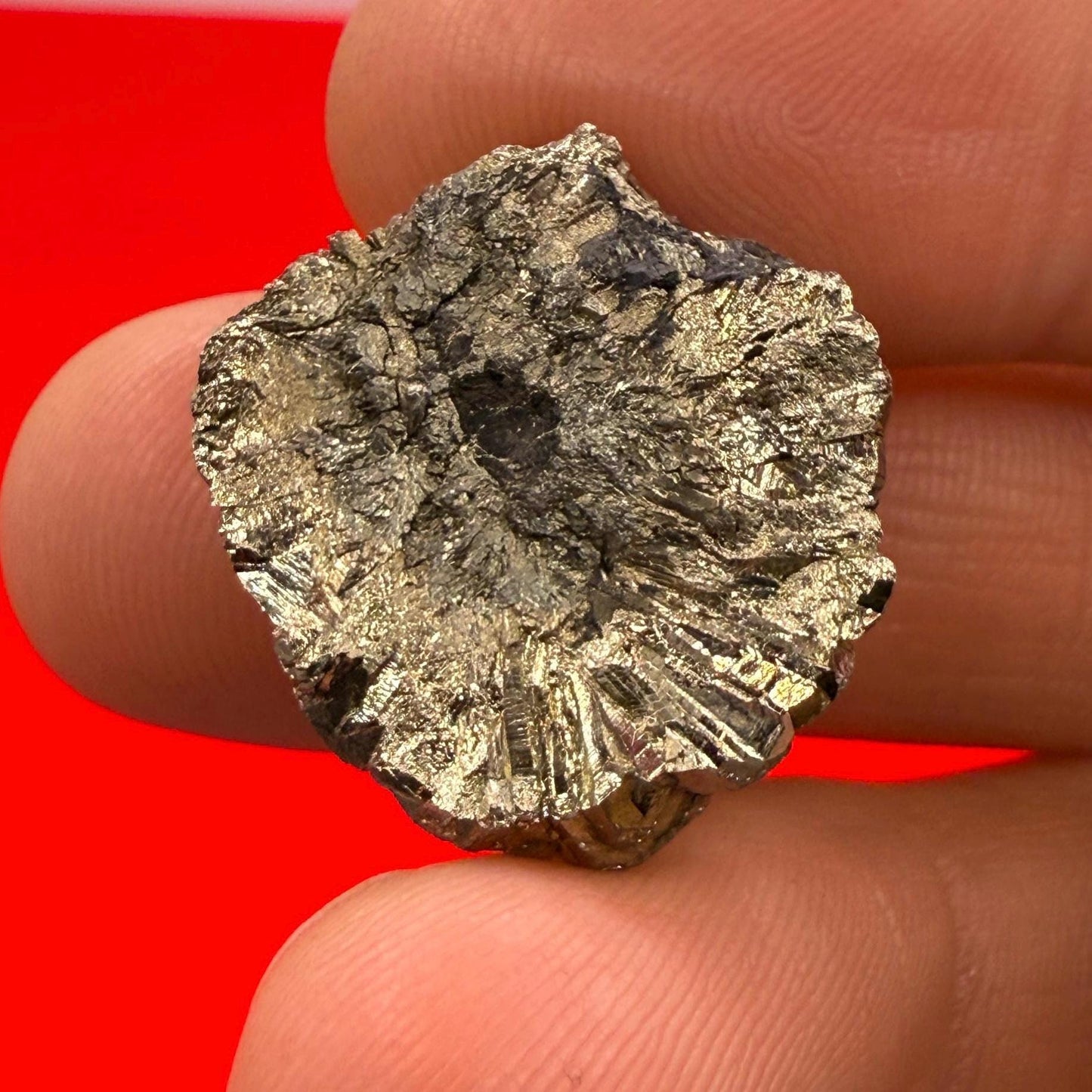 Golden Prophecy Stone, Rare and Unique, Marcasite Nodule, Crystal of Protection, Pyrite, Reiki, Rock Collection, Transformation, 11.48 grams