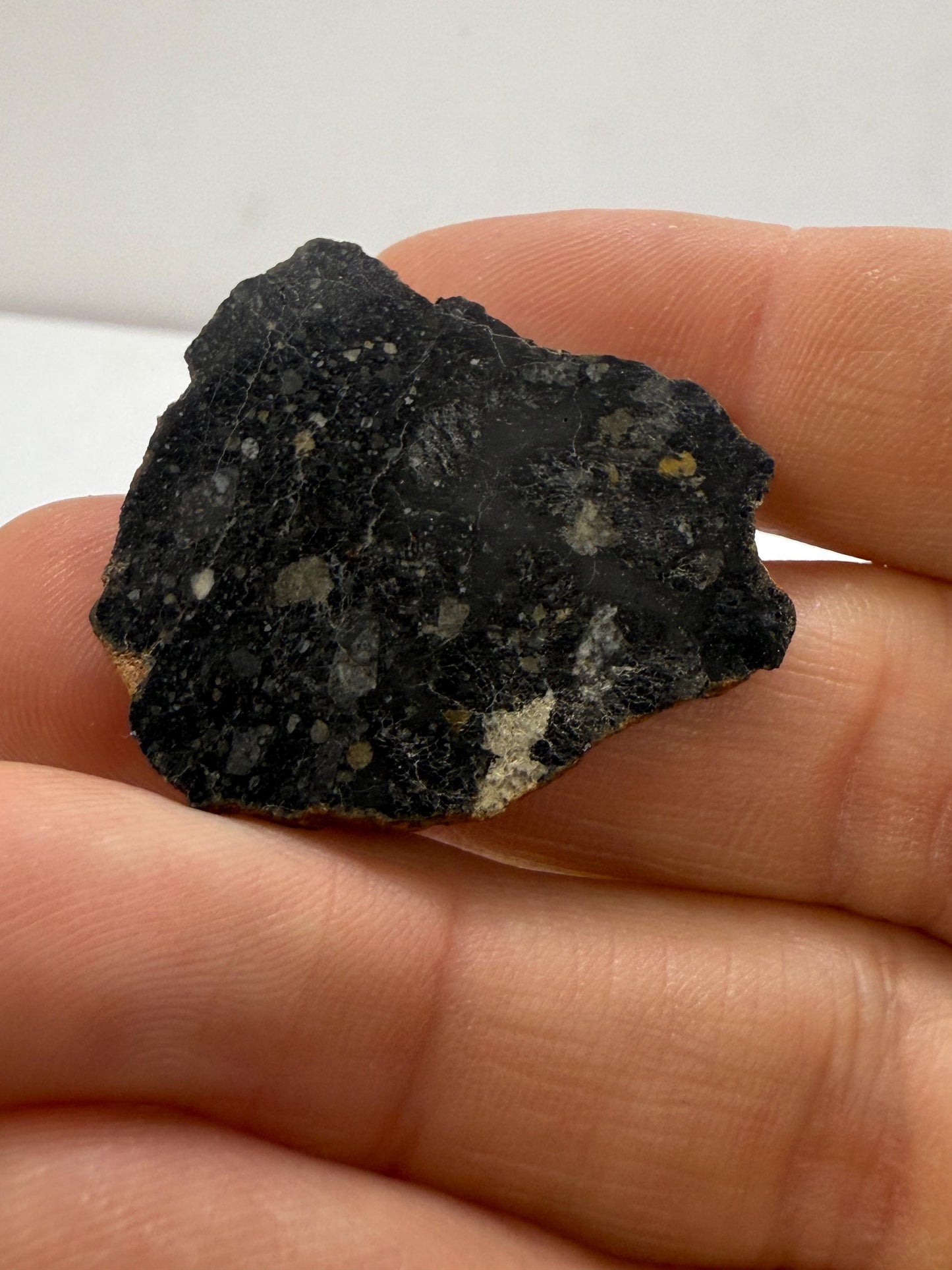 NWA 13739 Moon/Lunar Meteorite Slice, Rare Moon Meteorite, Astronomy Gift, Meteorite Collection, Lunar Fine Grained Breccia, 3.49 grams