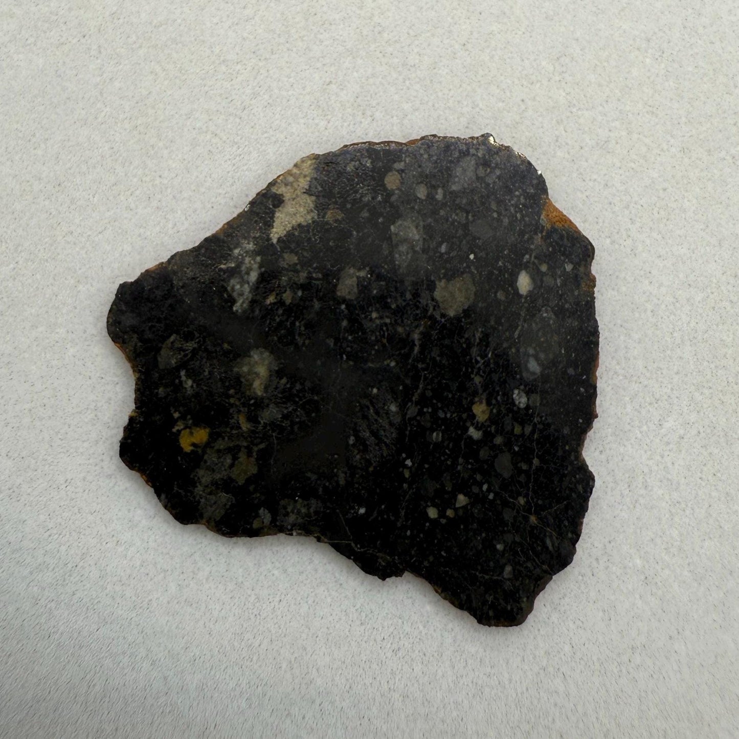 NWA 13739 Moon/Lunar Meteorite Slice, Rare Moon Meteorite, Astronomy Gift, Meteorite Collection, Lunar Fine Grained Breccia, 3.49 grams