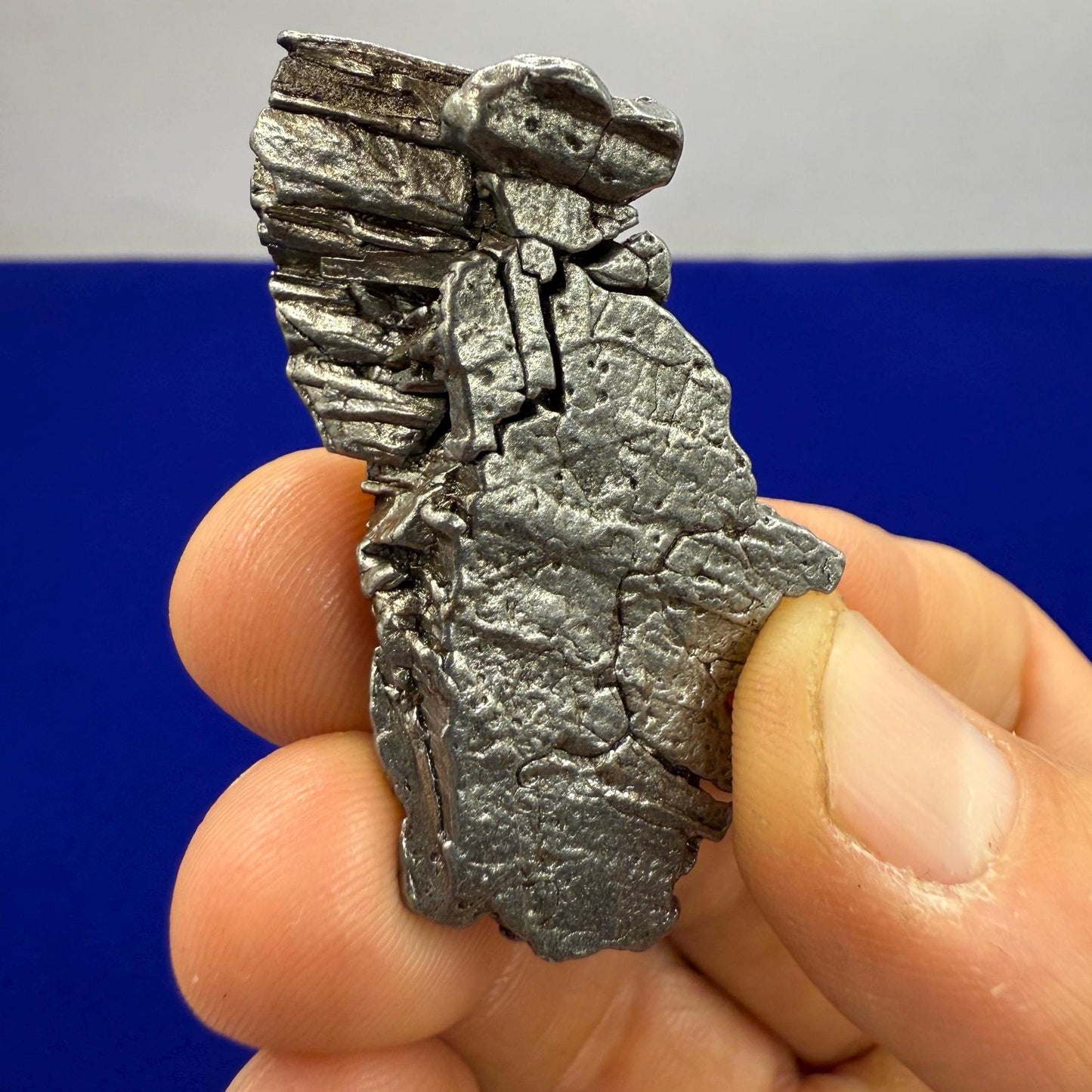 Beautiful Aletai Meteorite Specimen, 32.16 grams, COA, Meteorite Collection, Astronomy Gift, Authentic Iron Meteorite, Space Gift, Space