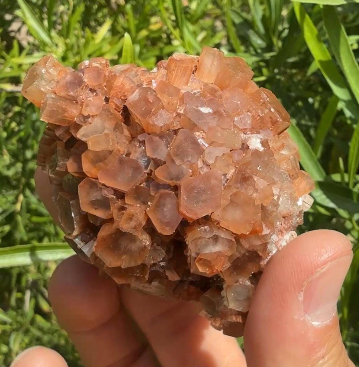 Beautiful Top Grade Aragonite Crystal, Aragonite, Aragonite Star Cluster, Confidence, Emotional Healing, Crystal, 187.05 Grams