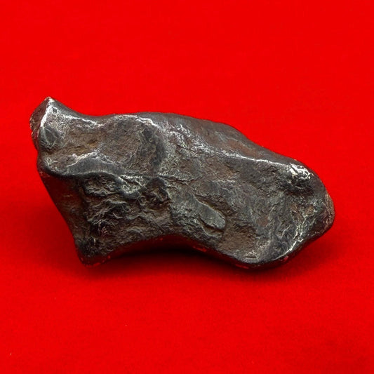 Agoudal Iron Meteorite, Space Gift, Authentic Meteorite, Astronomy Gift, Space Rock with Regmaglypts, Rare and Unique Collectible, 12.47g