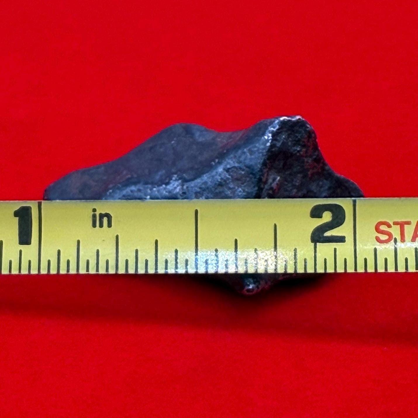 Agoudal Iron Meteorite, Space Gift, Authentic Meteorite, Astronomy Gift, Space Rock with Regmaglypts, Rare and Unique Collectible, 12.47g