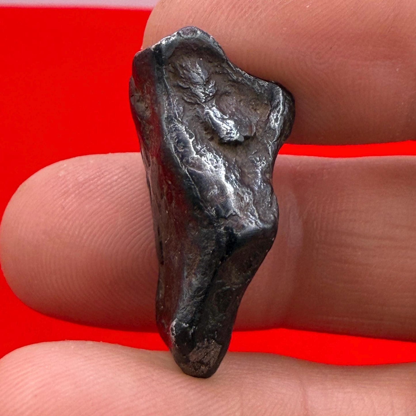 Agoudal Iron Meteorite, Space Gift, Authentic Meteorite, Astronomy Gift, Space Rock with Regmaglypts, Rare and Unique Collectible, 12.47g