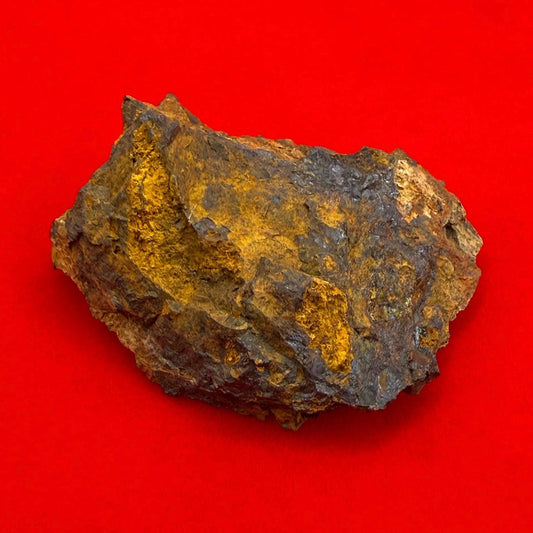 Wolf Creek Meteorite Specimen, Australia, 9.91 grams, Rare Meteorite, Iron Meteorite, Astronomy Gift, Space Gift, Australian Meteorite