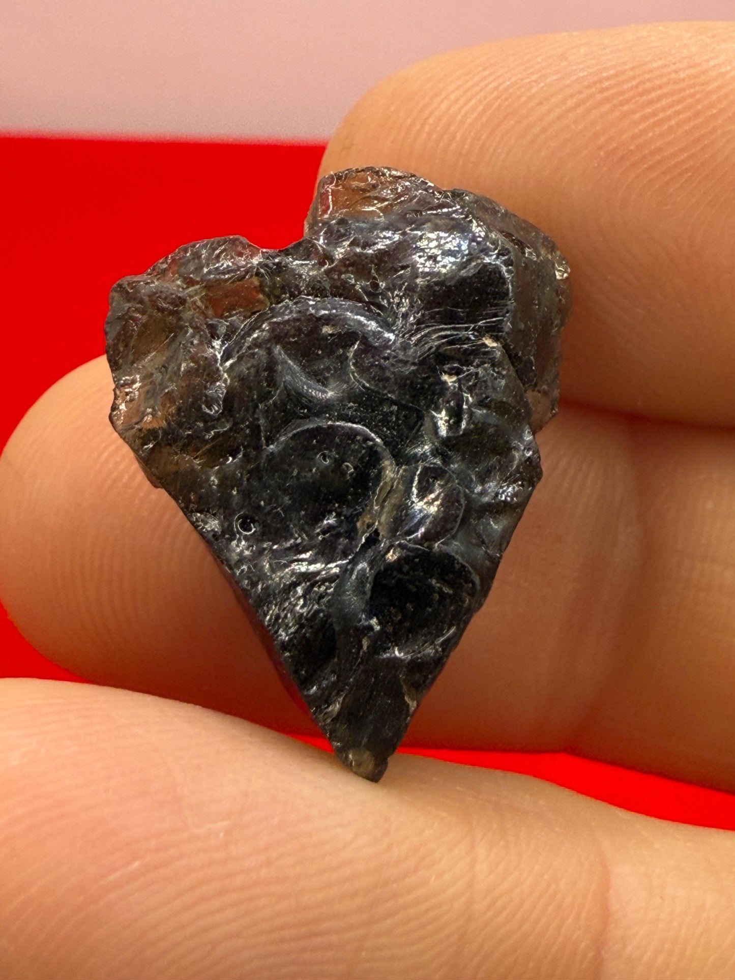 Darwin Glass, Darwinite, Tektite, Grounding, Manifestation Talisman, Impactite from Tasmania, Astronomy Gift, Tektite Collection, 3.68 grams