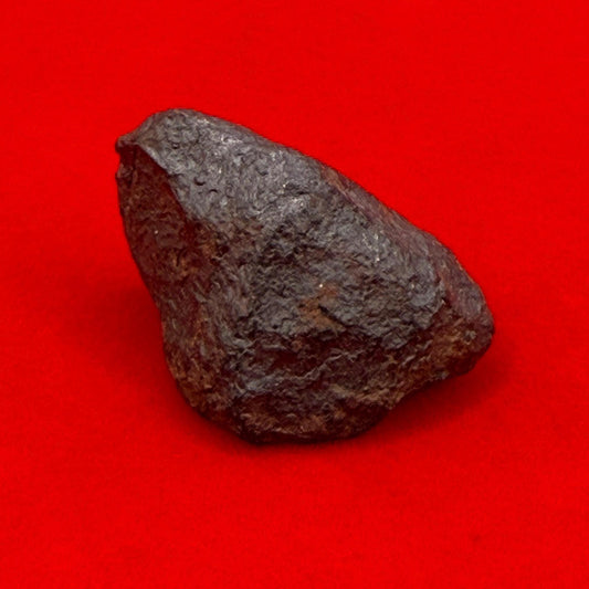 Unique Iron Meteorite Mundrabilla, 8.98 grams, Astronomy Gift, Space Gift, Iron Meteorite, Australia, Meteorite Collection, Space, COA