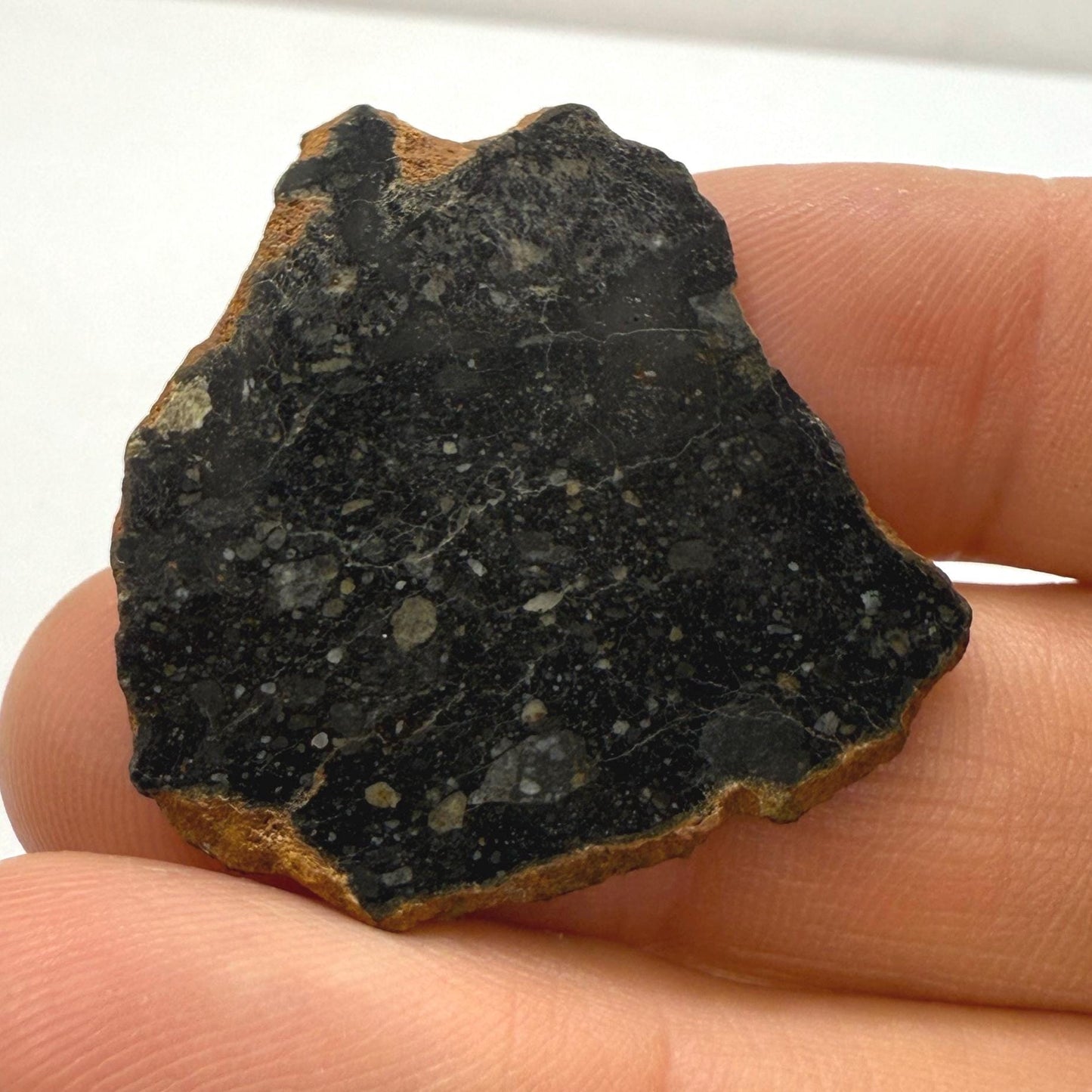 NWA 13739 Moon/Lunar Meteorite Slice, Rare Moon Meteorite, Astronomy Gift, Meteorite Collection, Lunar Fine Grained Breccia, 3.49 grams