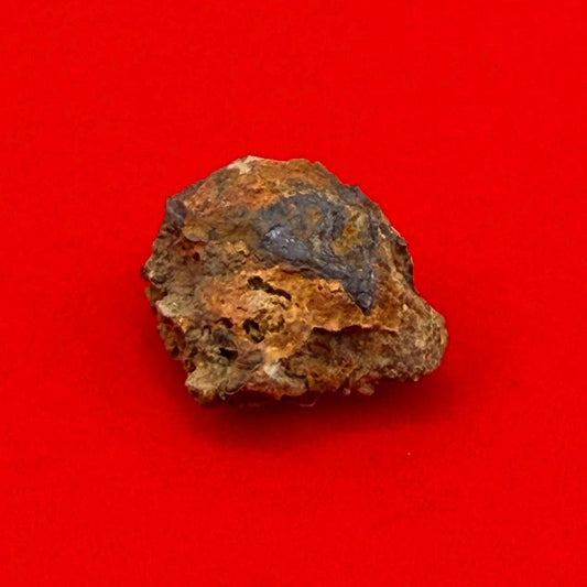 Wolf Creek Meteorite Specimen, Australia, 1.20 grams, Rare Meteorite, Iron Meteorite, Astronomy Gift, Space Gift, Australian Meteorite