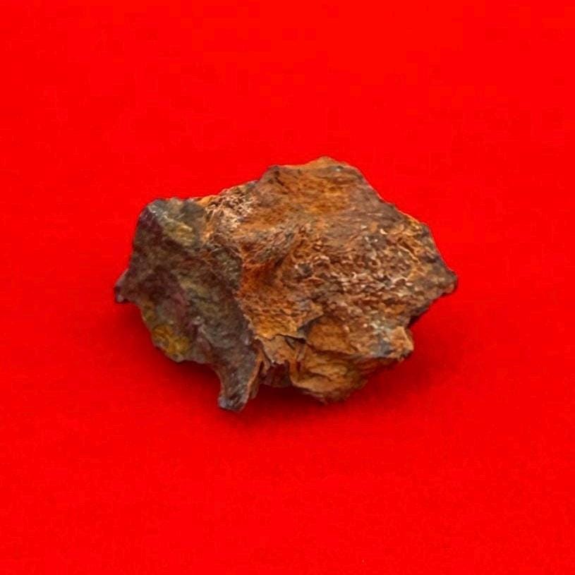 Wolf Creek Meteorite Specimen, Australia, 0.62 grams, Rare Meteorite, Iron Meteorite, Astronomy Gift, Space Gift, Australian Meteorite