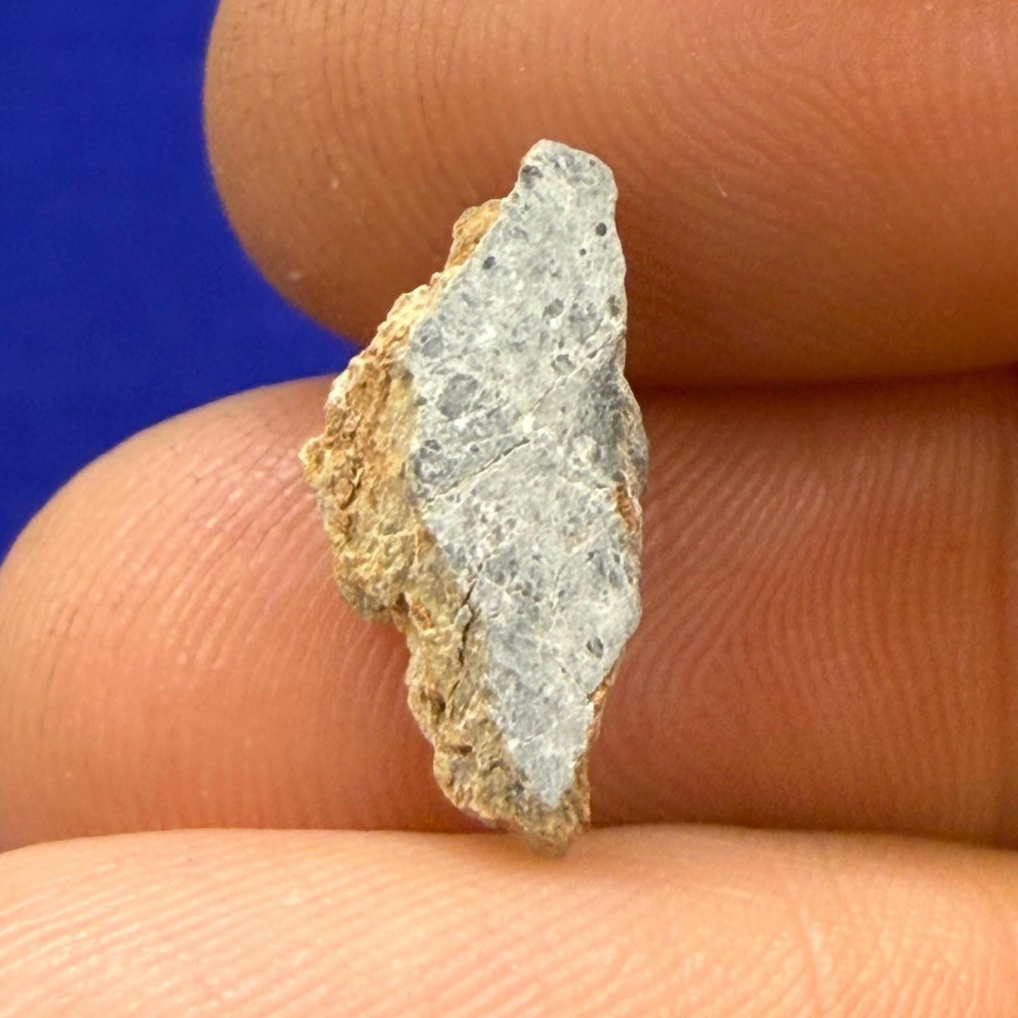 Gadamis 003 Moon/Lunar Meteorite Slice, Authentic Lunar Meteorite,Apollo Lunar, Moon Meteorite, Meteorite Collection, Moon Slice, 0.51 grams
