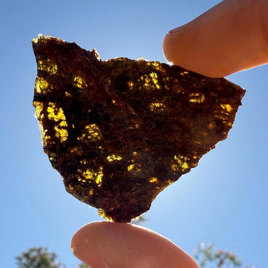 NWA 7831 Diogenite Meteorite Slice, HED Achondrite Meteorite, Diogenite, Astronomy Gift, Space Gift, Iron Meteorite, Space, 9.67 grams