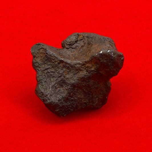 Canyon Diablo Meteorite Specimen, Arizona, 14.08 grams, Rare Meteorite, Iron Meteorite, Astronomy Gift, Space Gift, Energy Work, Meteorite