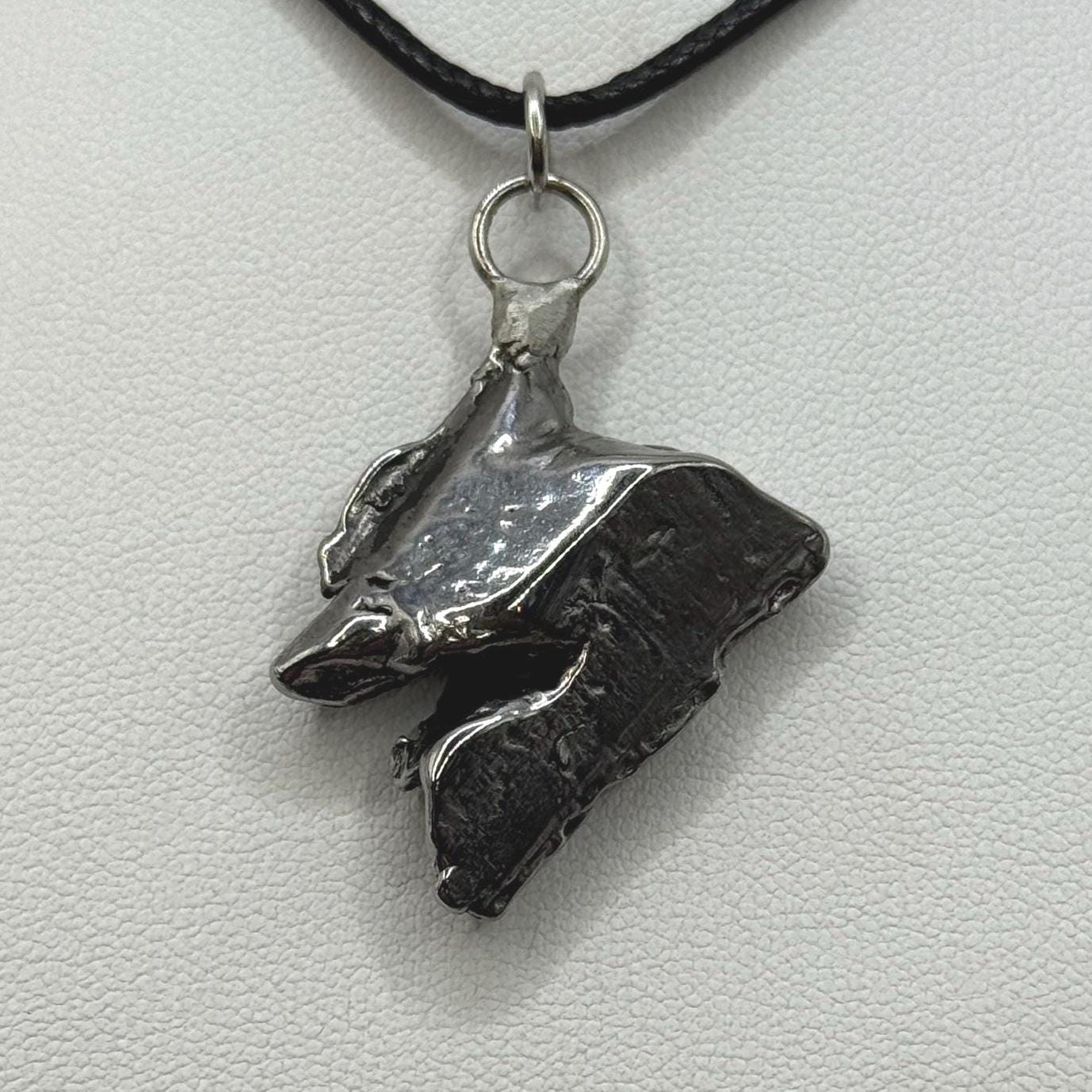 Beautiful Aletai Meteorite Pendant, 13.01 grams, Astronomy Gift, Authentic Meteorite, Meteorite Jewelry, Meteorite Pendant, COA, Space Gift