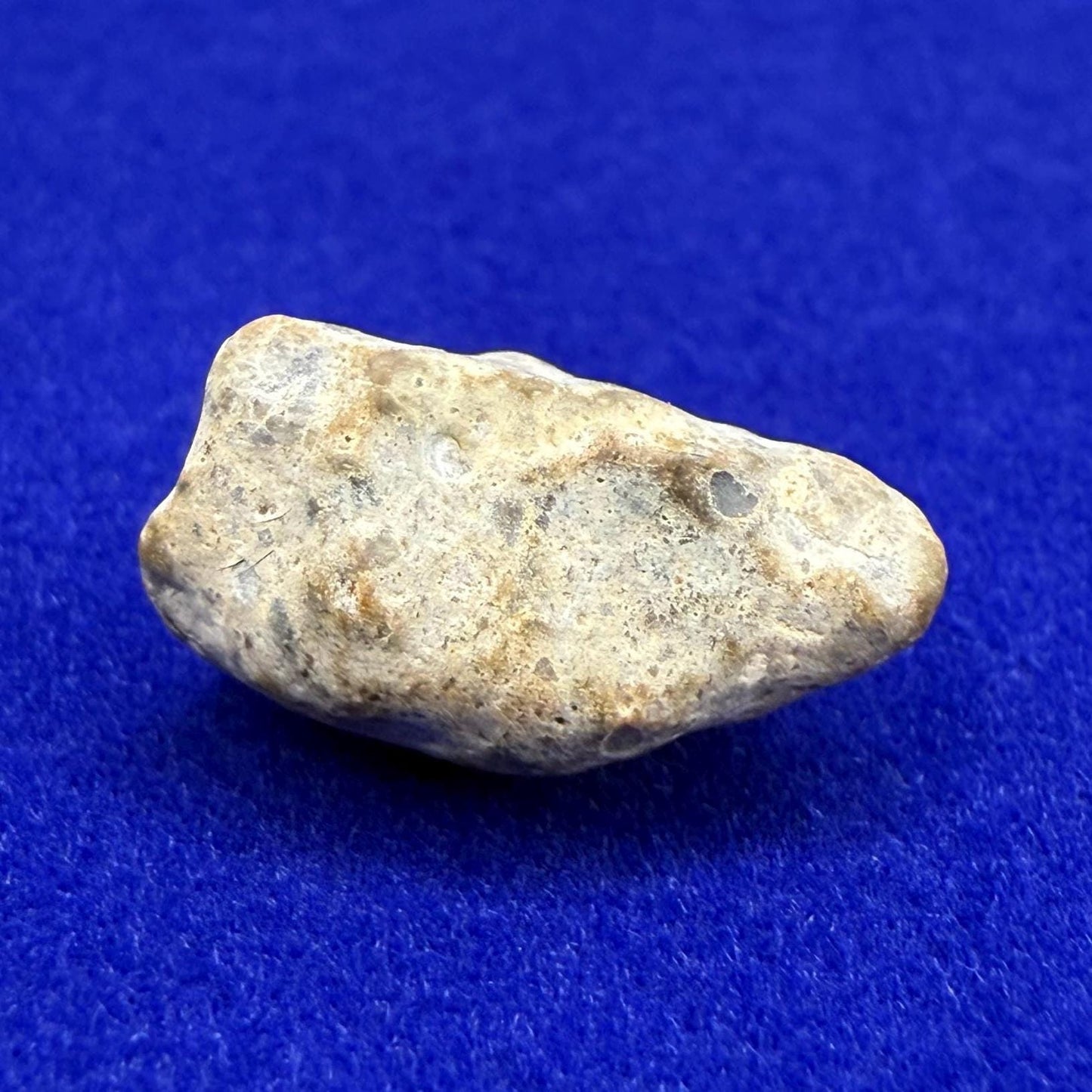 NWA 13974 Moon|Lunar Meteorite, Feldspathic Breccia, Moon Meteorite, Meteorite Collection, Lunar Feldspathic Breccia, 1.17 grams