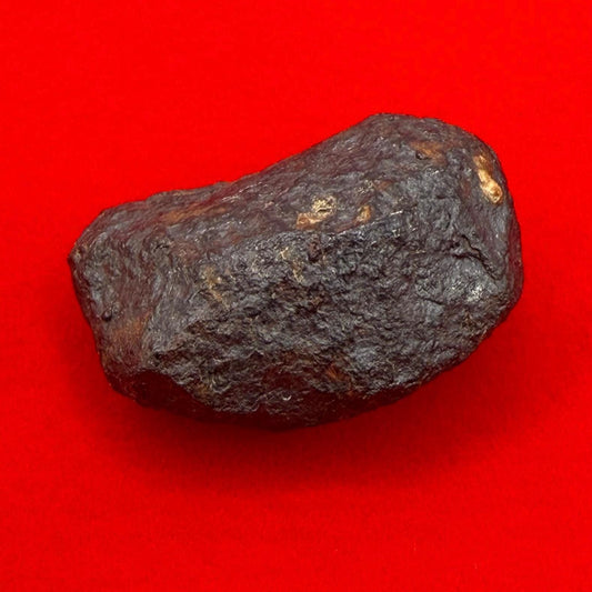 Unique Iron Meteorite Mundrabilla, 9.13 grams, Astronomy Gift, Space Gift, Iron Meteorite, Australia, Meteorite Collection, Space, COA