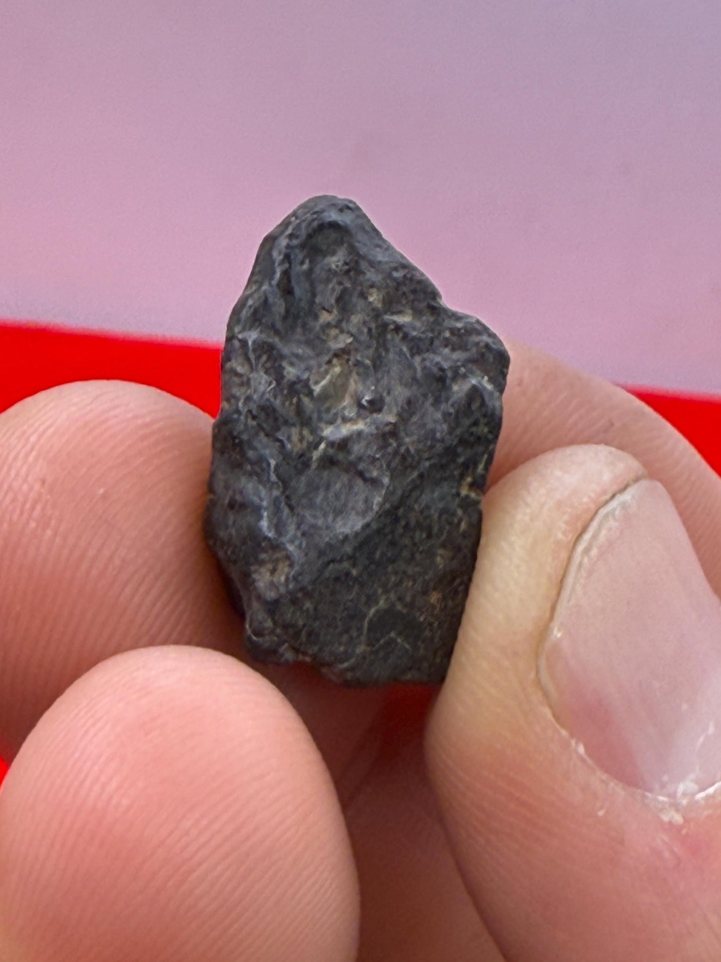 Meteorite NWA 869 Chondrite Stony Meteorite, 3.96 grams, Authentic Meteorite, Authentic Meteorite, COA, Astronomy Gift, Space Gift